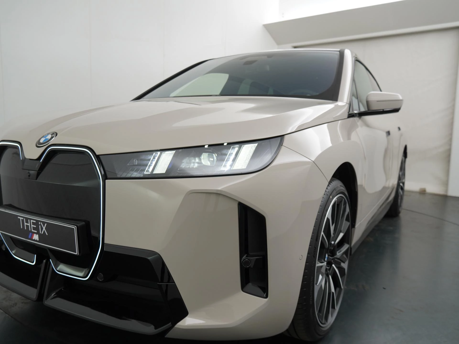 Hoofdafbeelding BMW iX