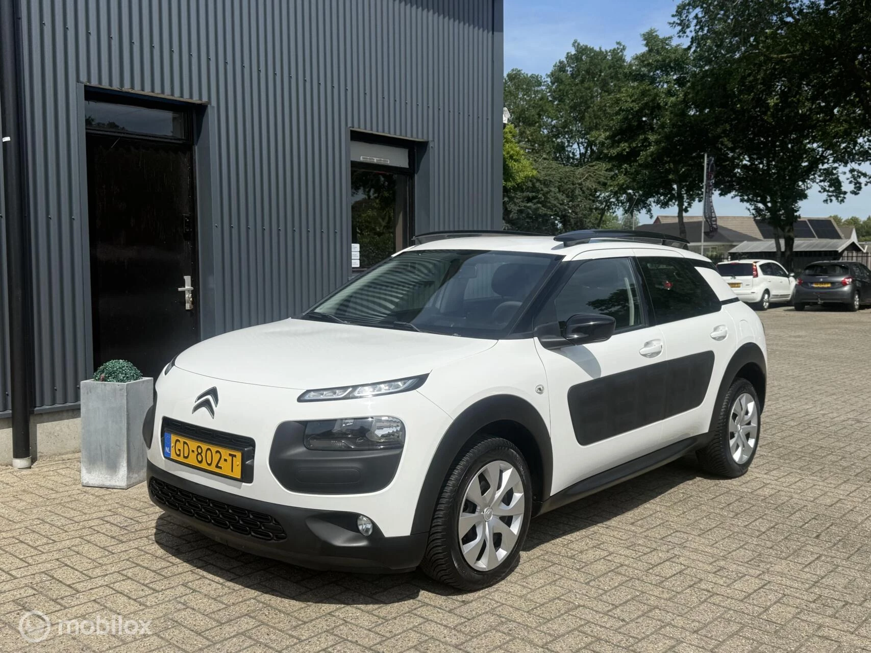 Hoofdafbeelding Citroën C4 Cactus