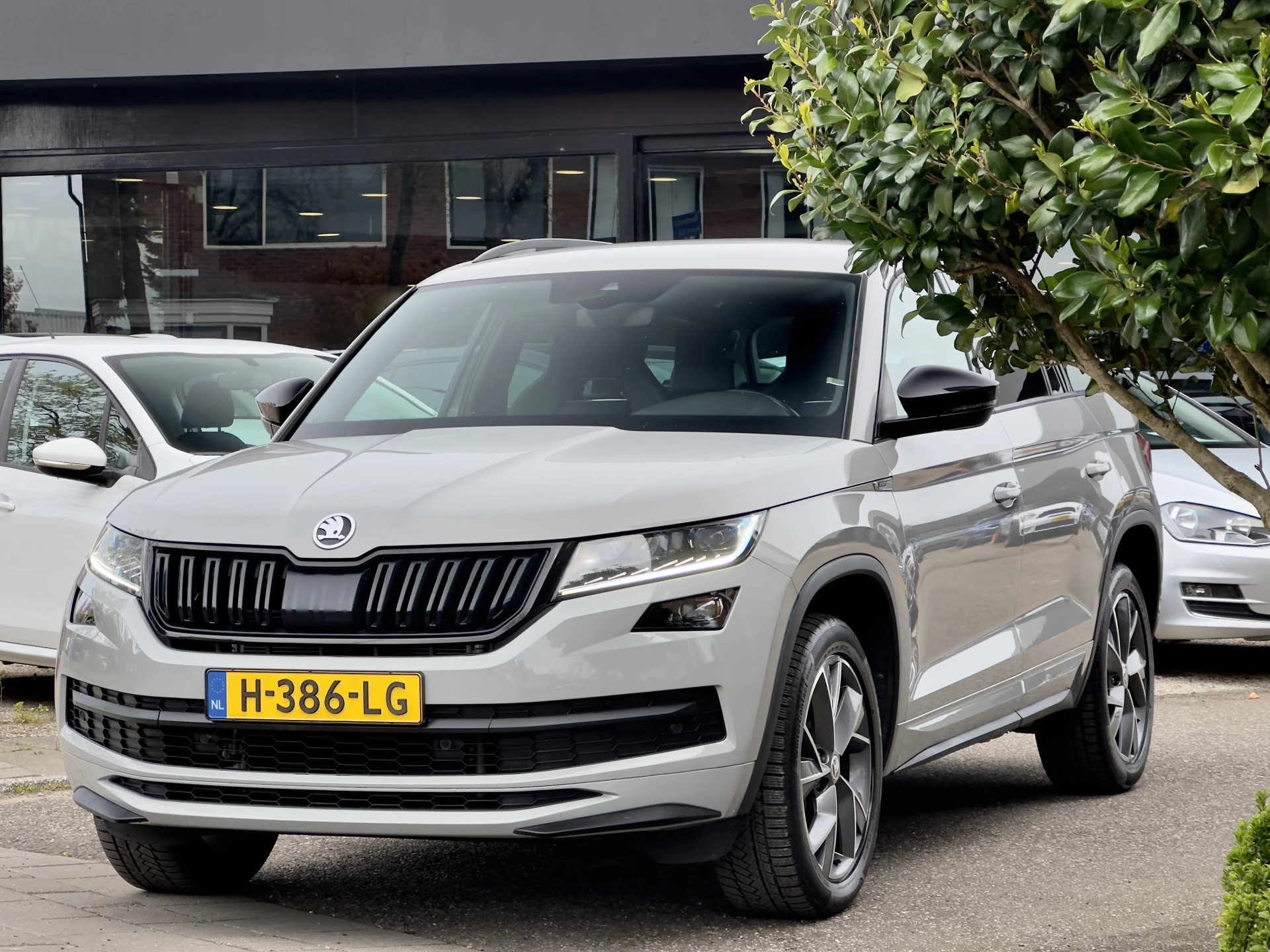 Hoofdafbeelding Škoda Kodiaq