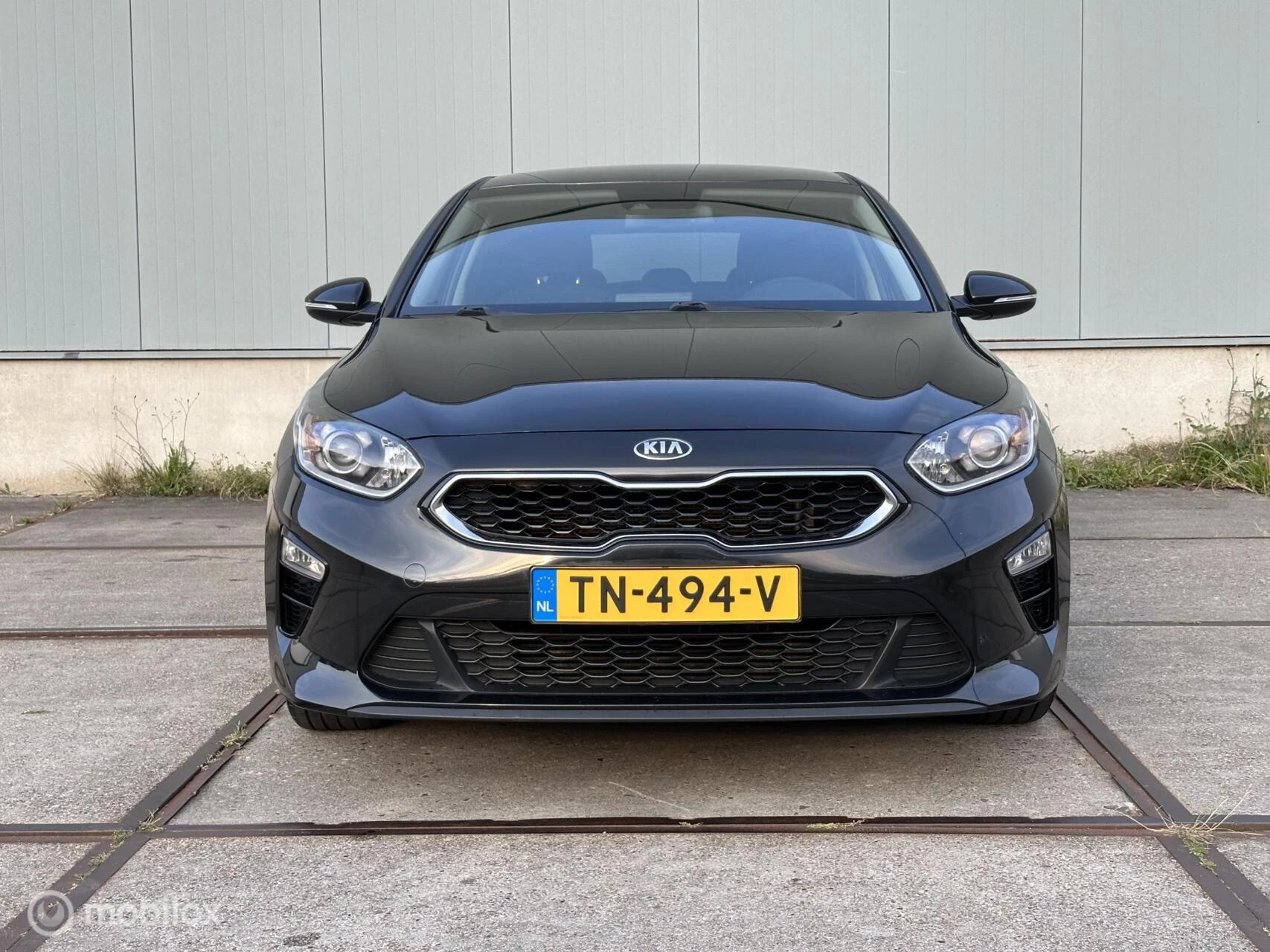 Hoofdafbeelding Kia Ceed