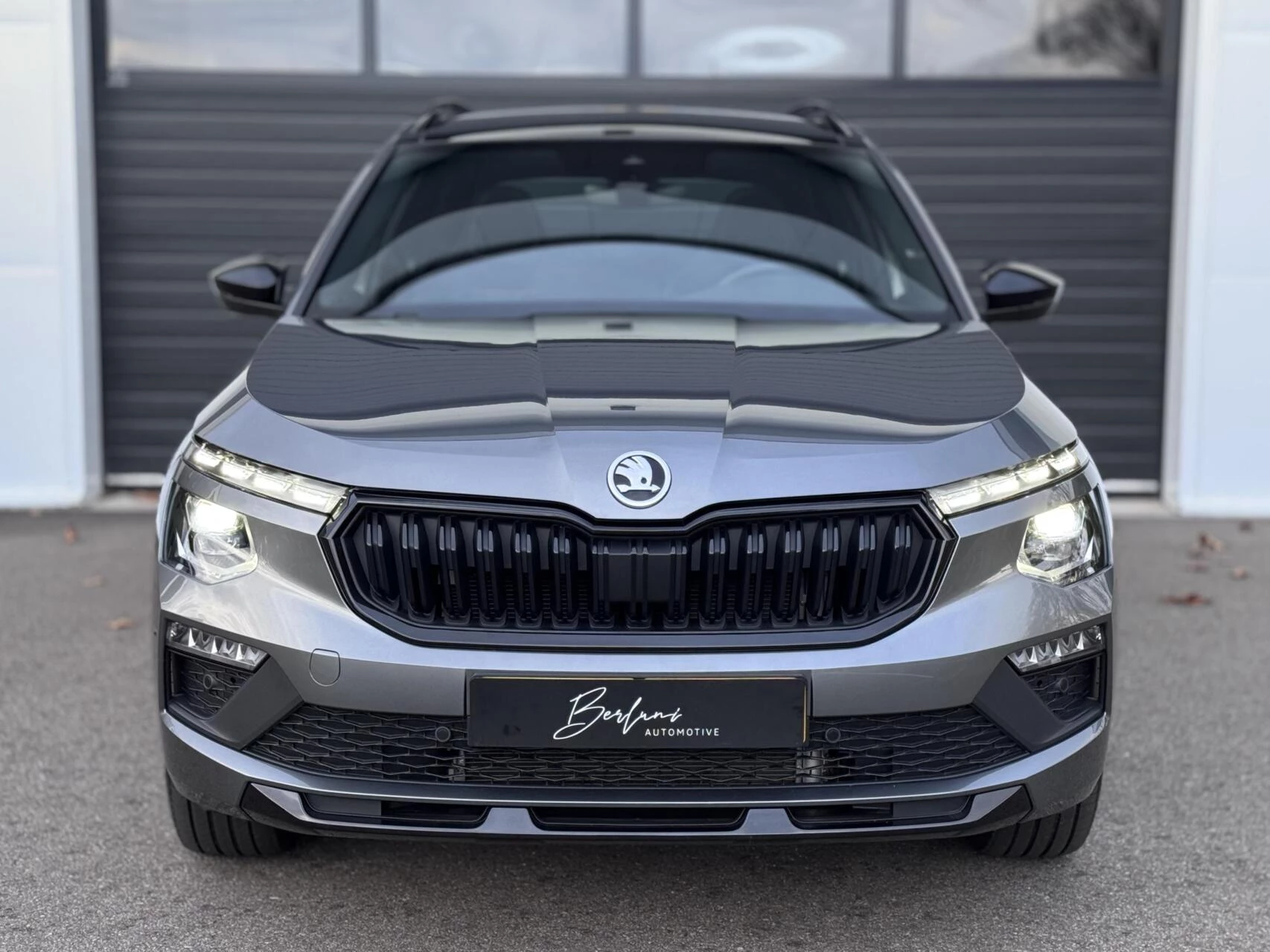 Hoofdafbeelding Škoda Kamiq