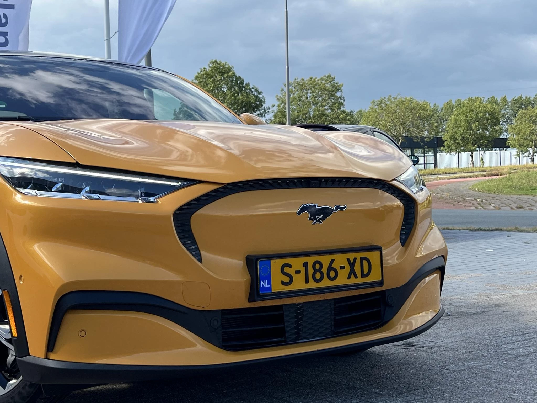 Hoofdafbeelding Ford Mustang Mach-E