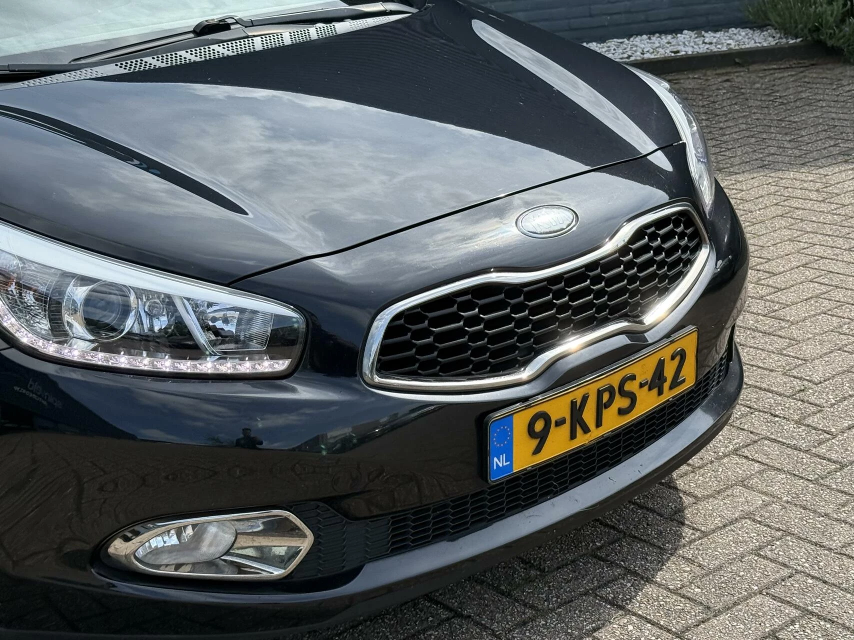 Hoofdafbeelding Kia cee'd