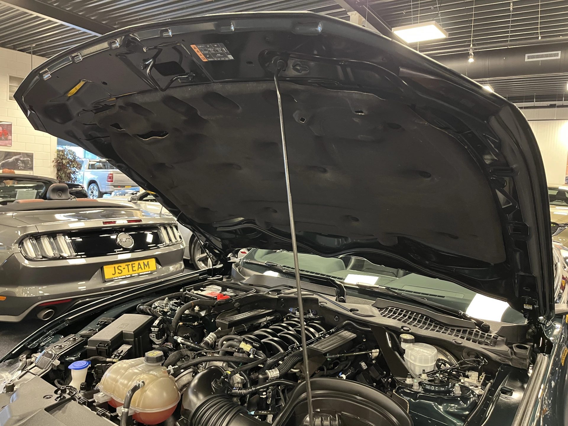Hoofdafbeelding Ford Mustang