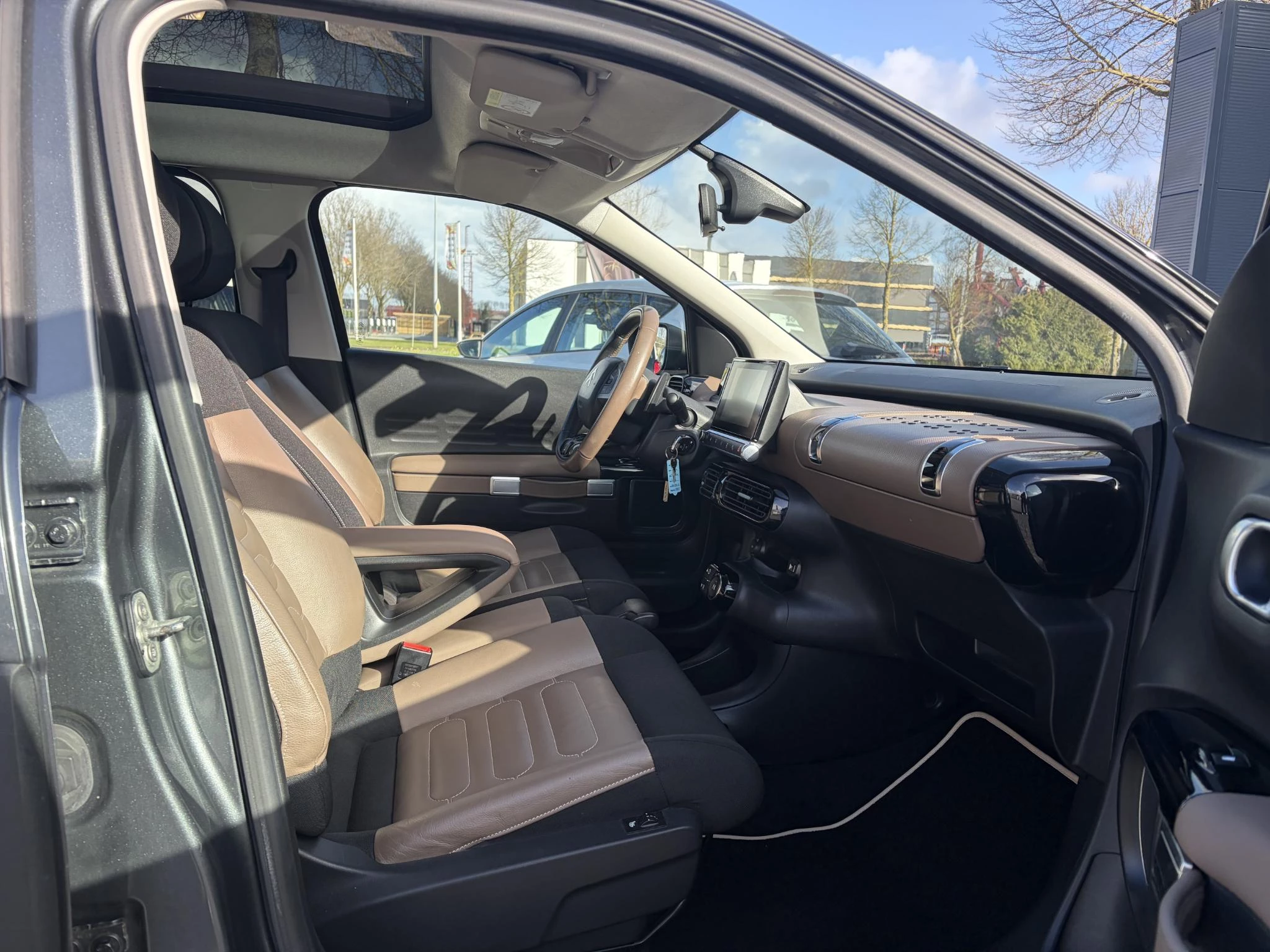 Hoofdafbeelding Citroën C4 Cactus