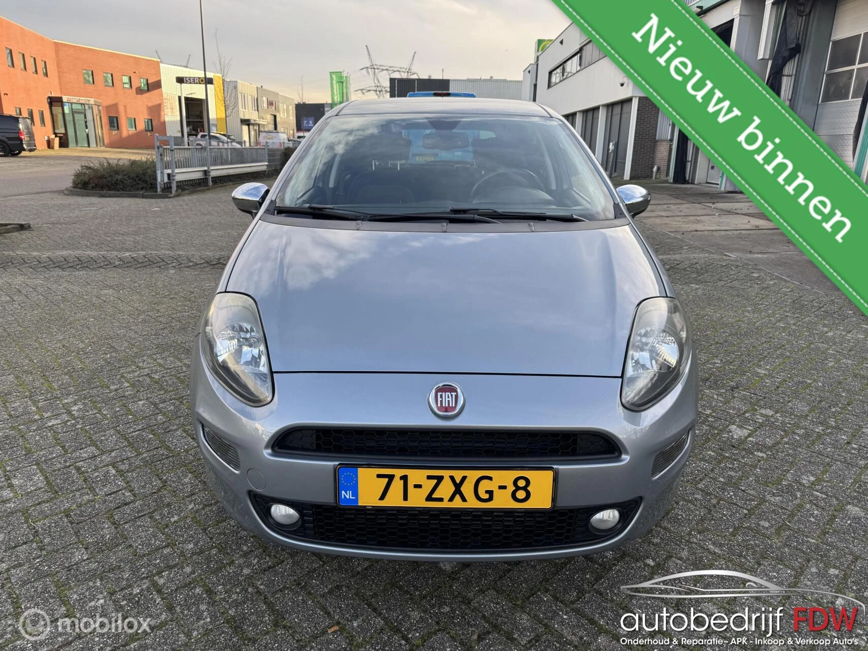 Hoofdafbeelding Fiat Punto
