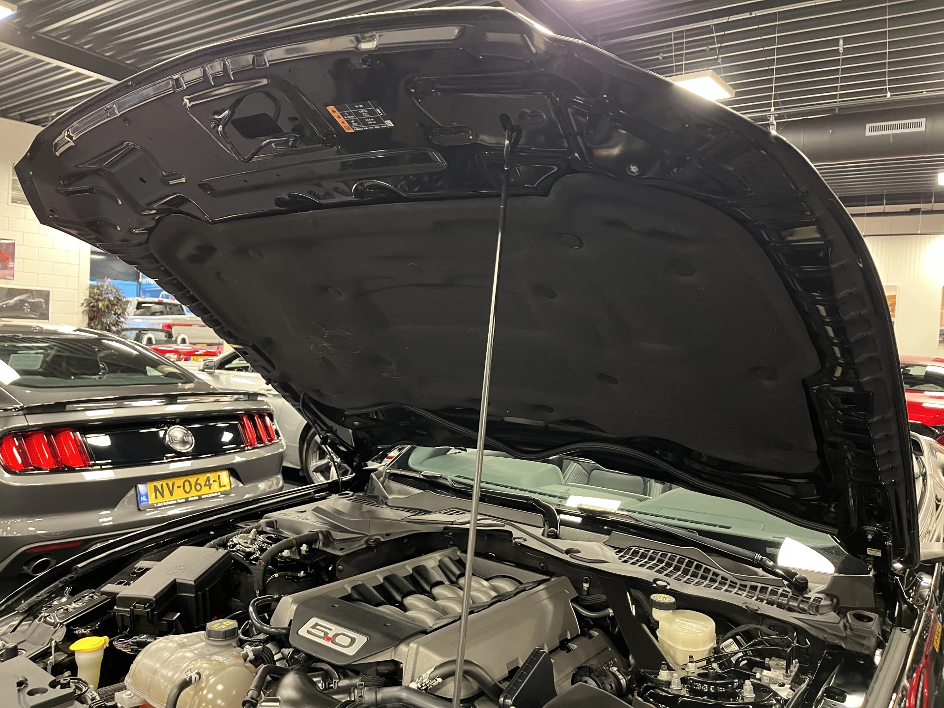 Hoofdafbeelding Ford Mustang