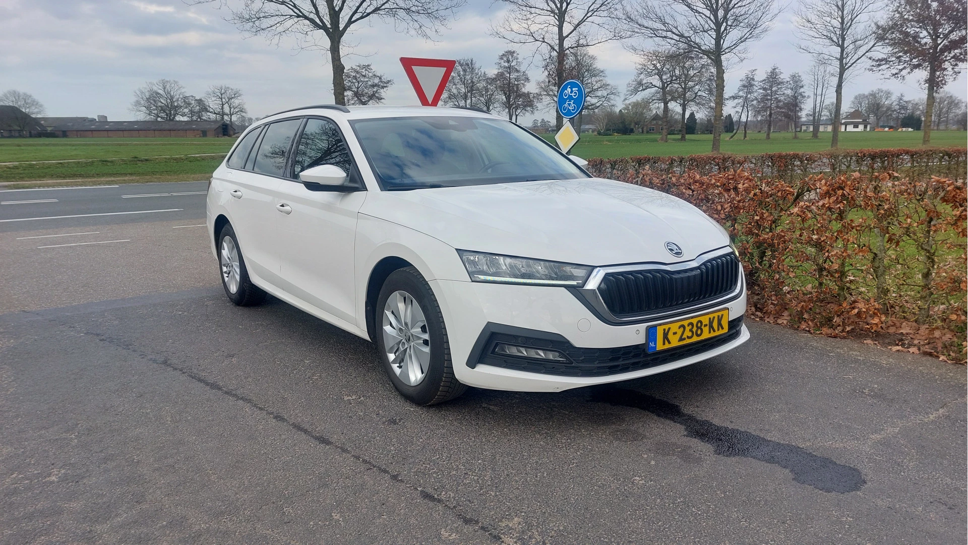 Hoofdafbeelding Škoda Octavia
