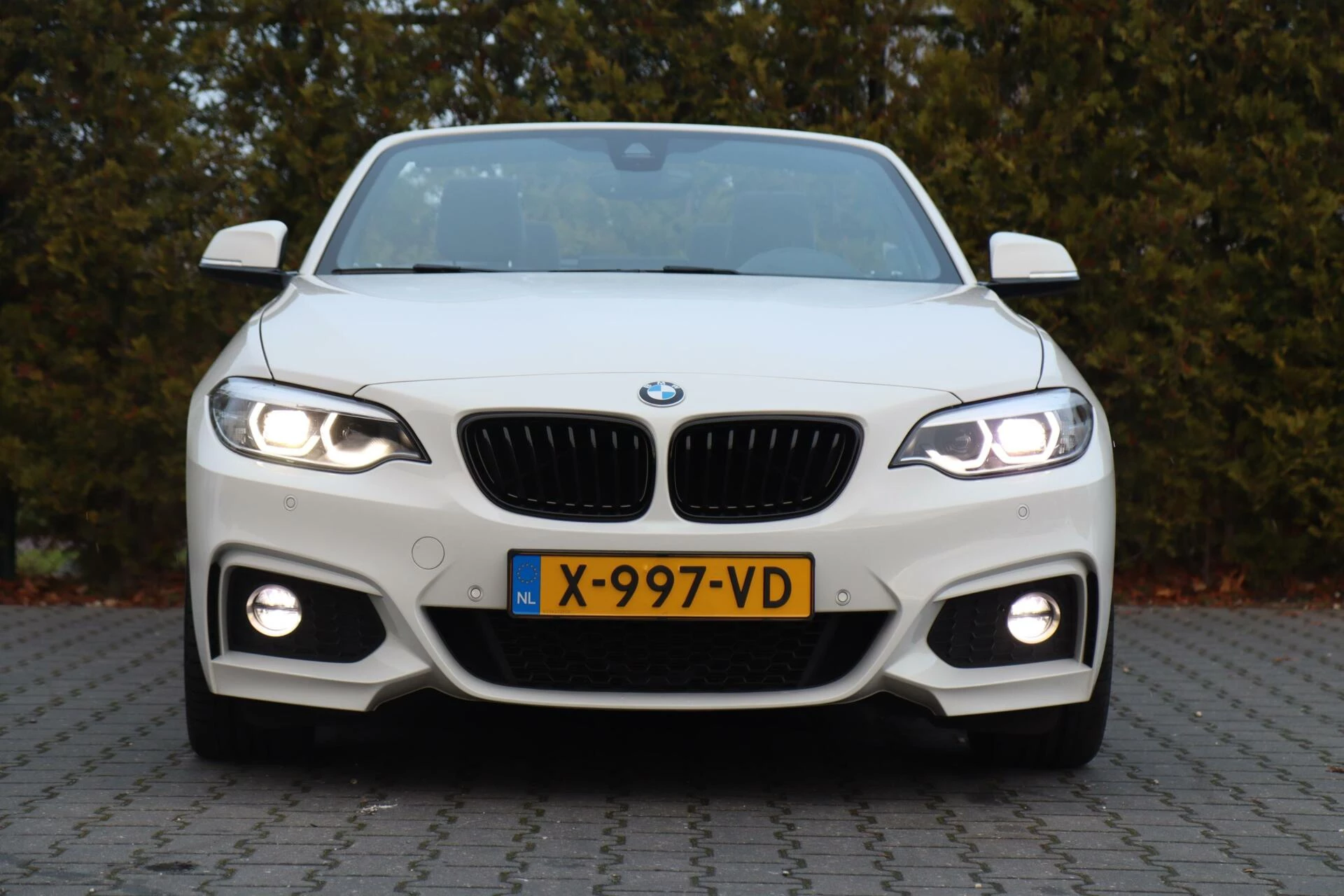 Hoofdafbeelding BMW 2 Serie