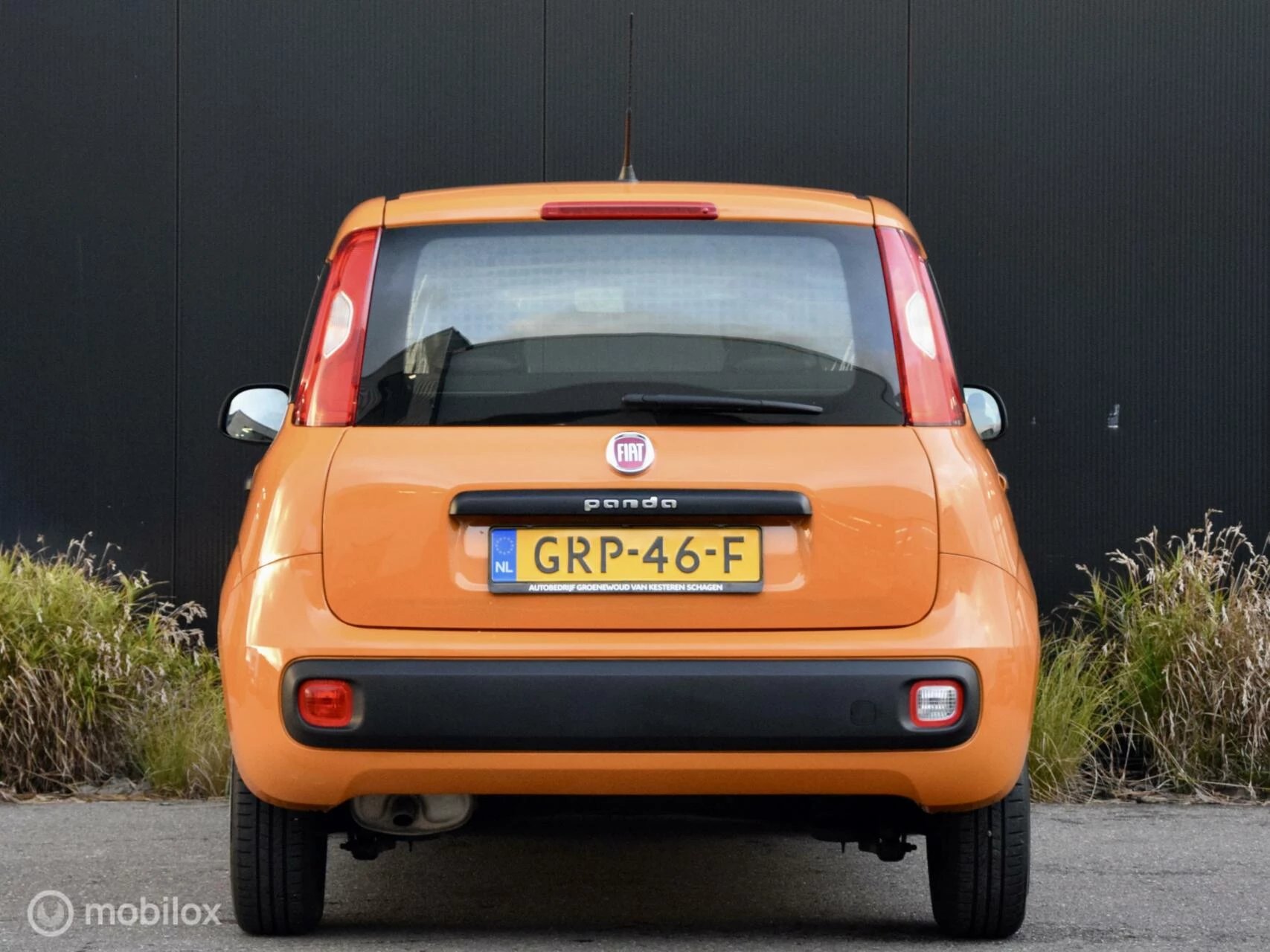 Hoofdafbeelding Fiat Panda