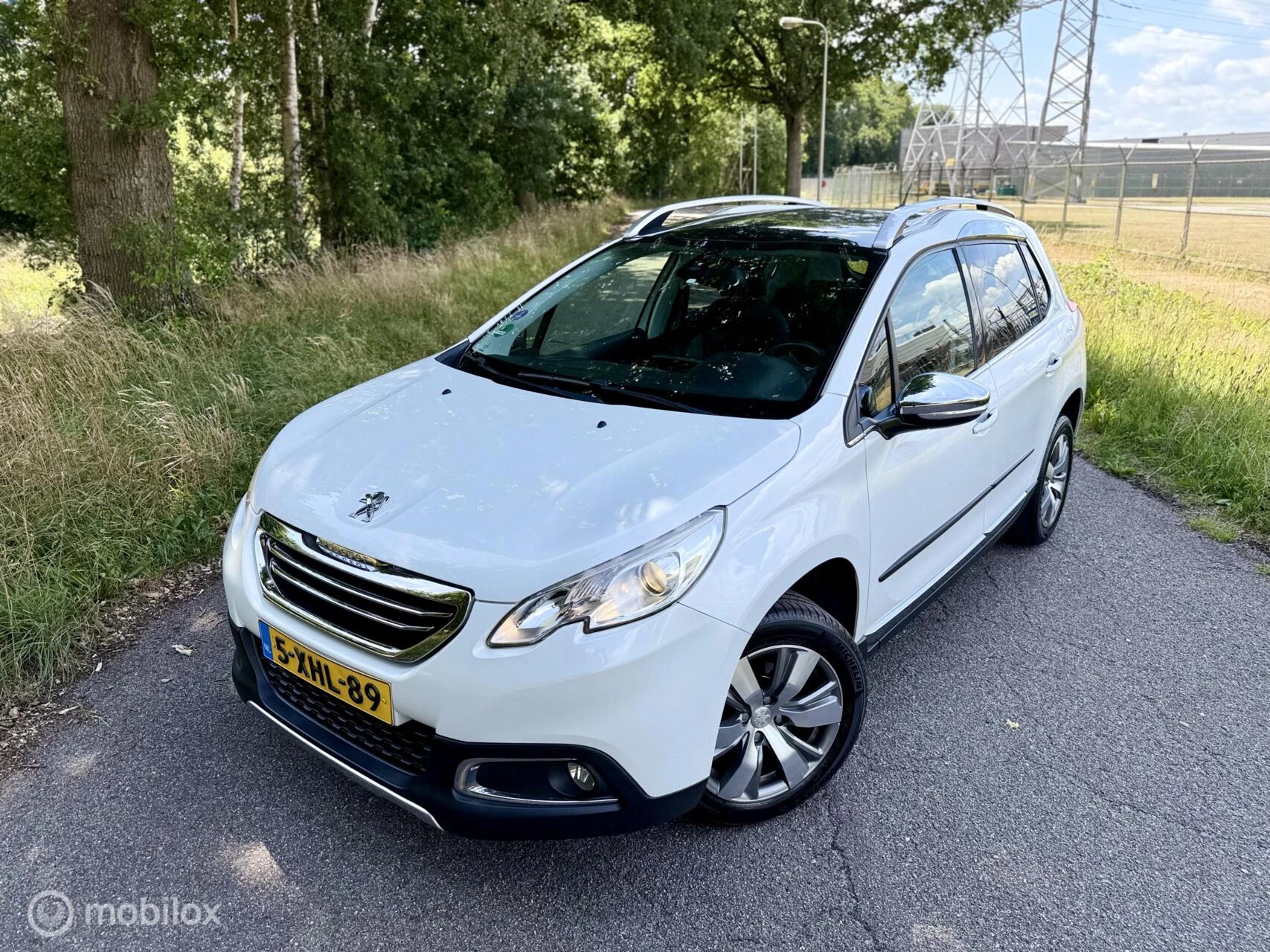 Hoofdafbeelding Peugeot 2008