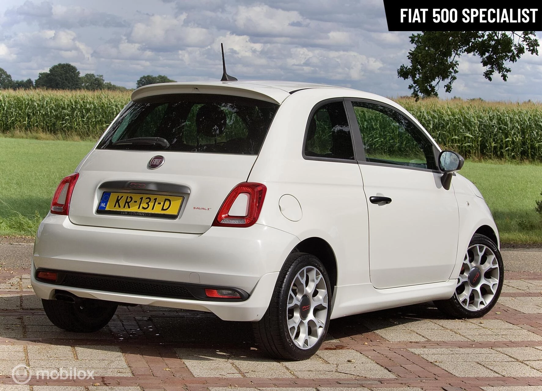Hoofdafbeelding Fiat 500