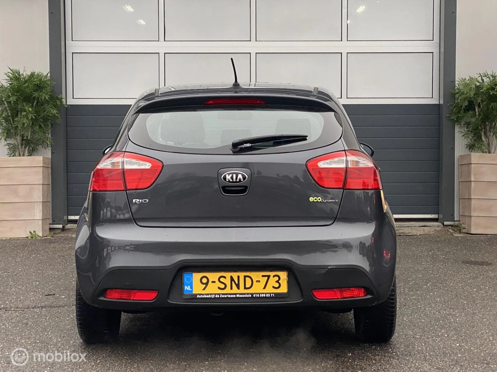 Hoofdafbeelding Kia Rio