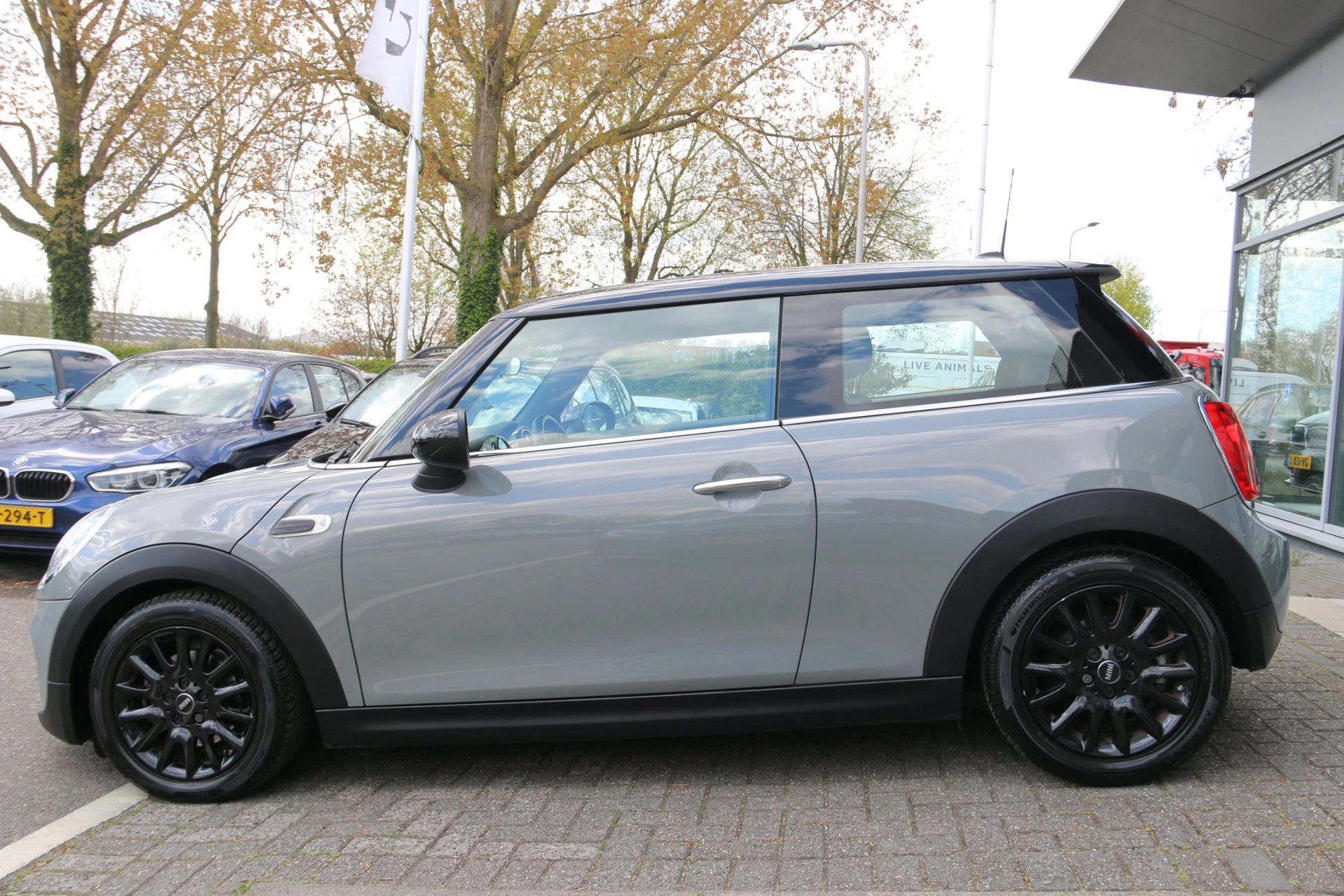 Hoofdafbeelding MINI Cooper