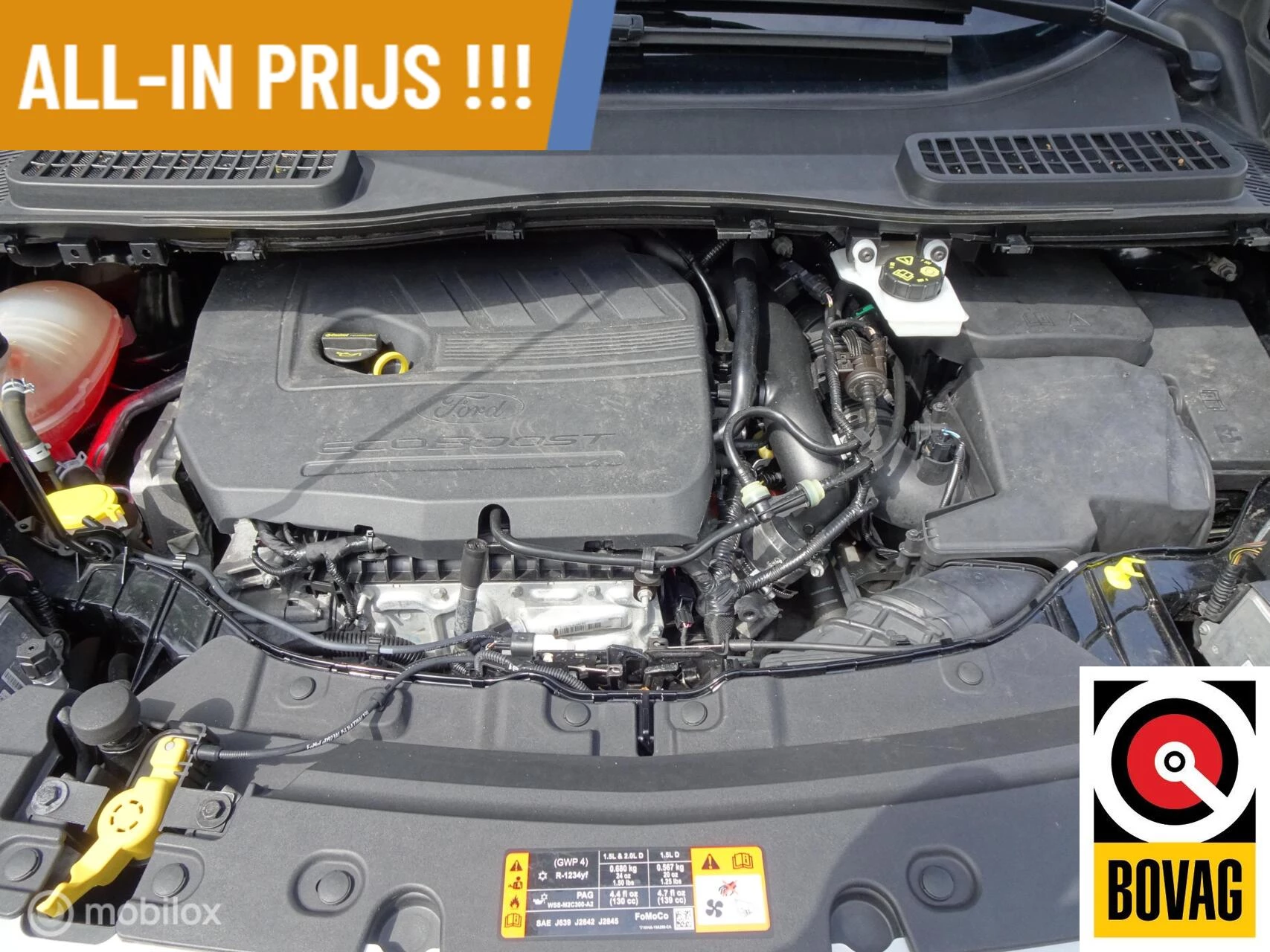 Hoofdafbeelding Ford Kuga