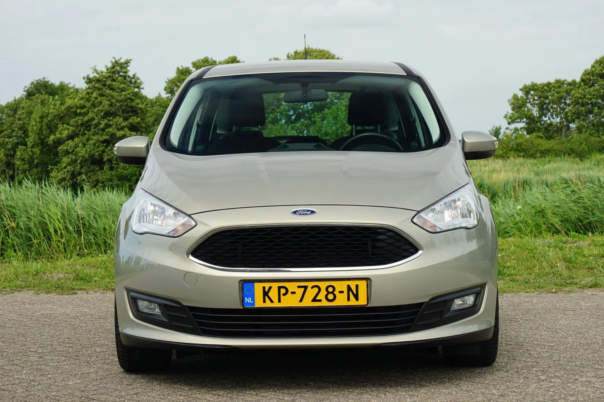 Hoofdafbeelding Ford Grand C-Max