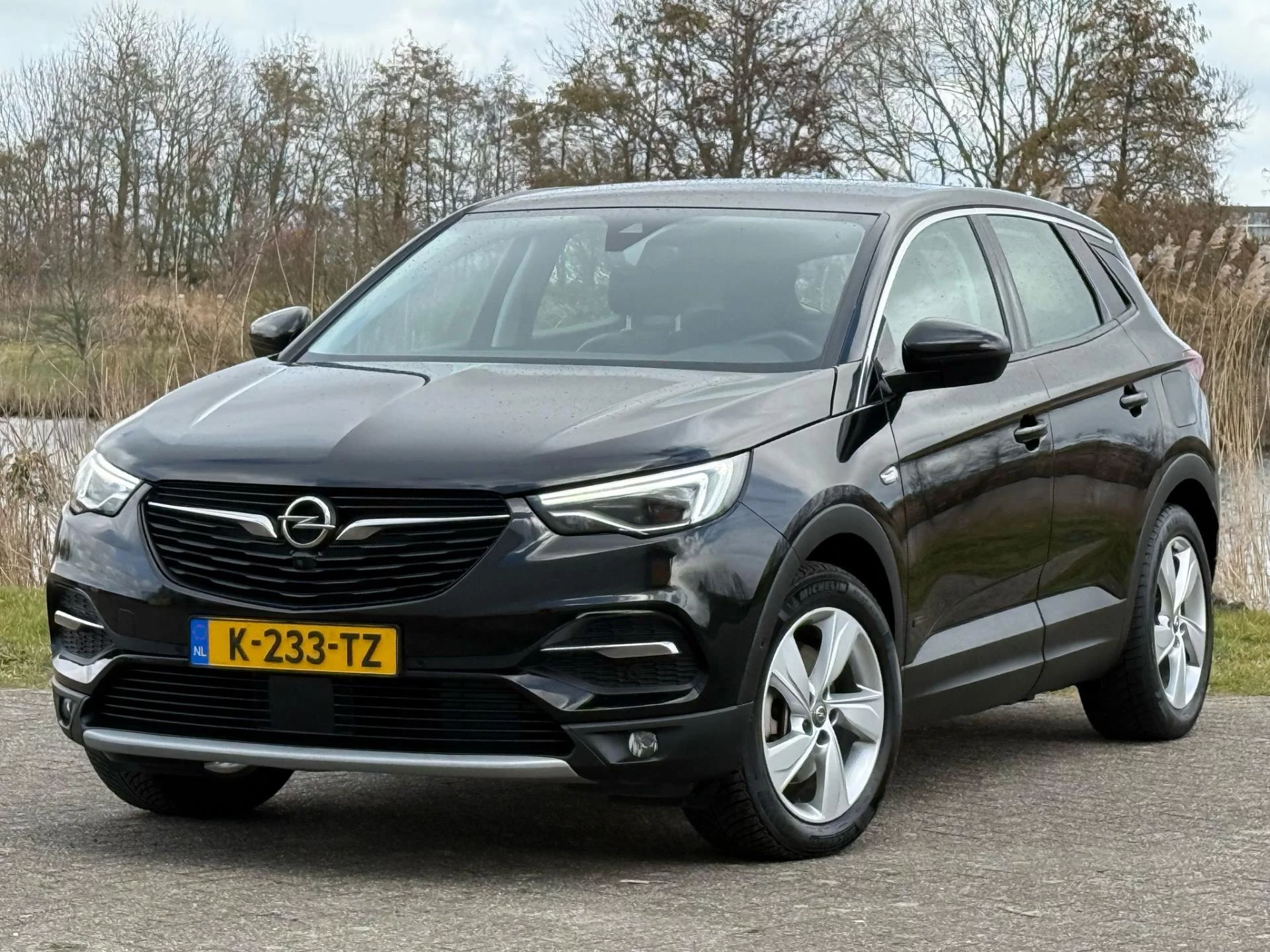 Hoofdafbeelding Opel Grandland X