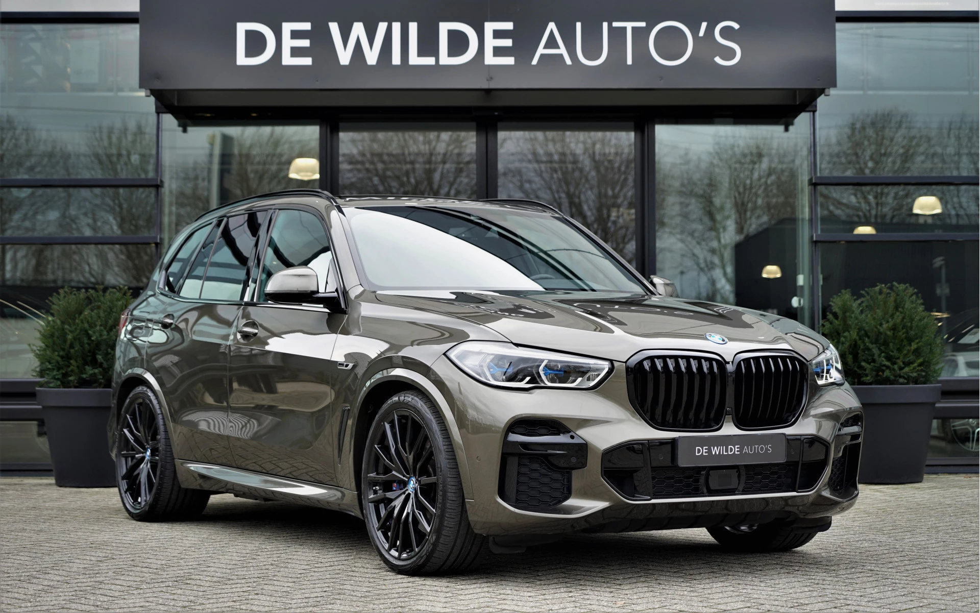 Hoofdafbeelding BMW X5