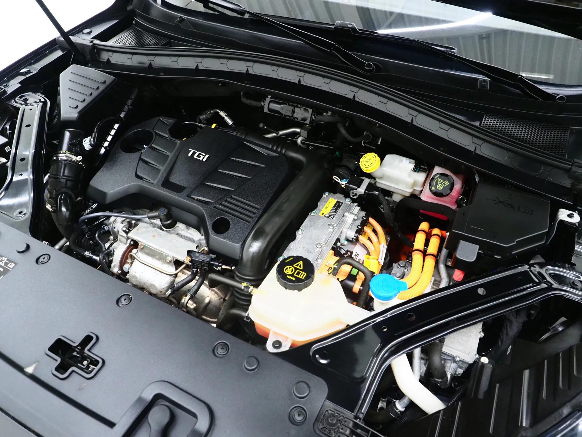 Hoofdafbeelding MG EHS