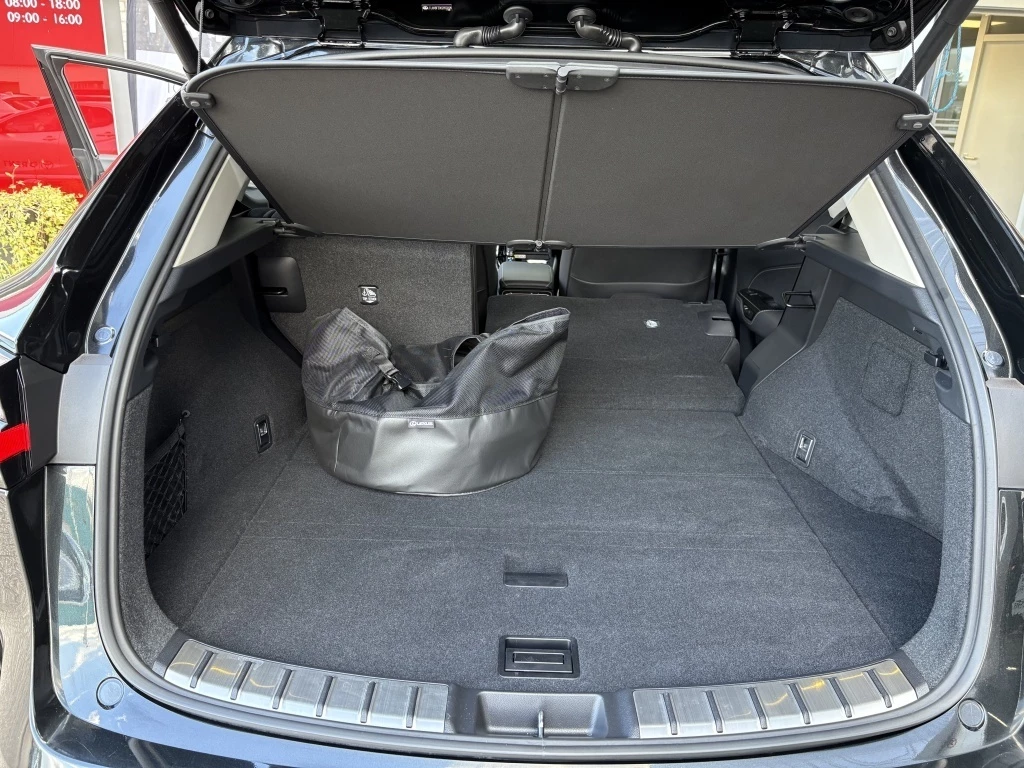 Hoofdafbeelding Lexus NX