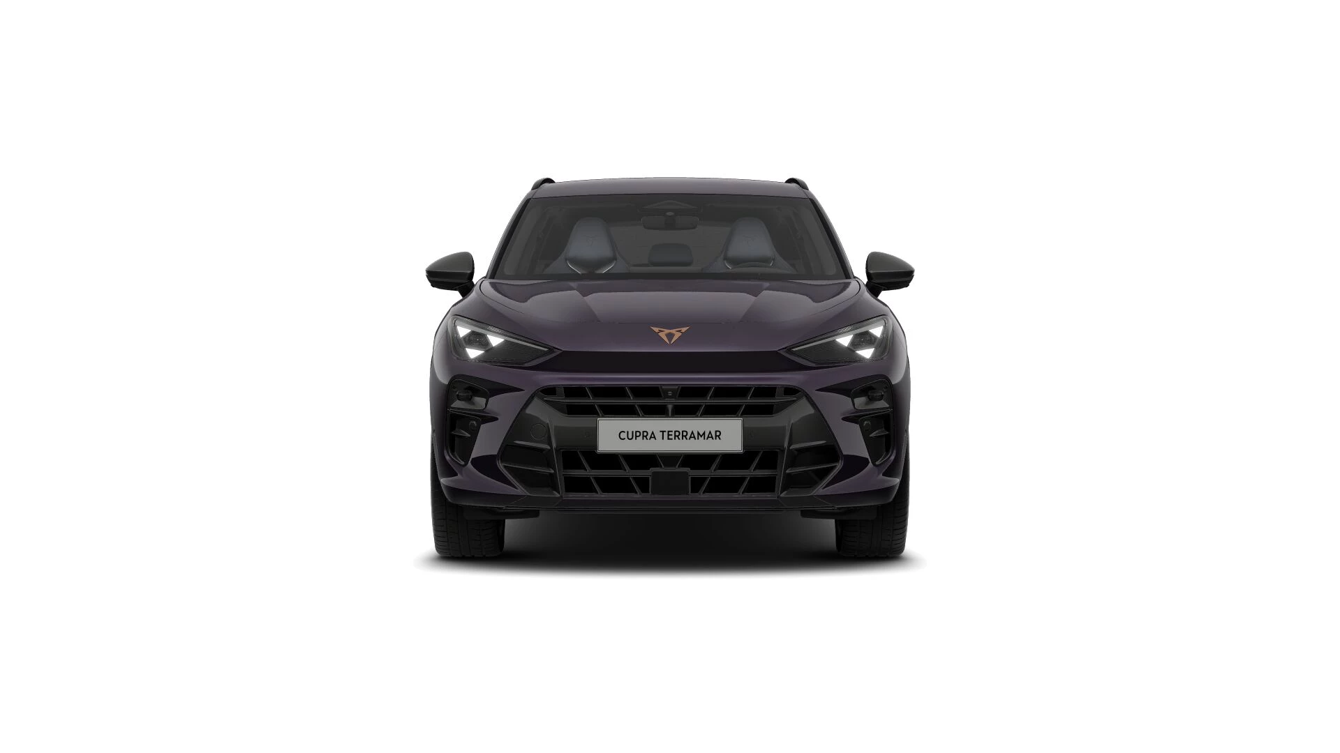 Hoofdafbeelding CUPRA Terramar