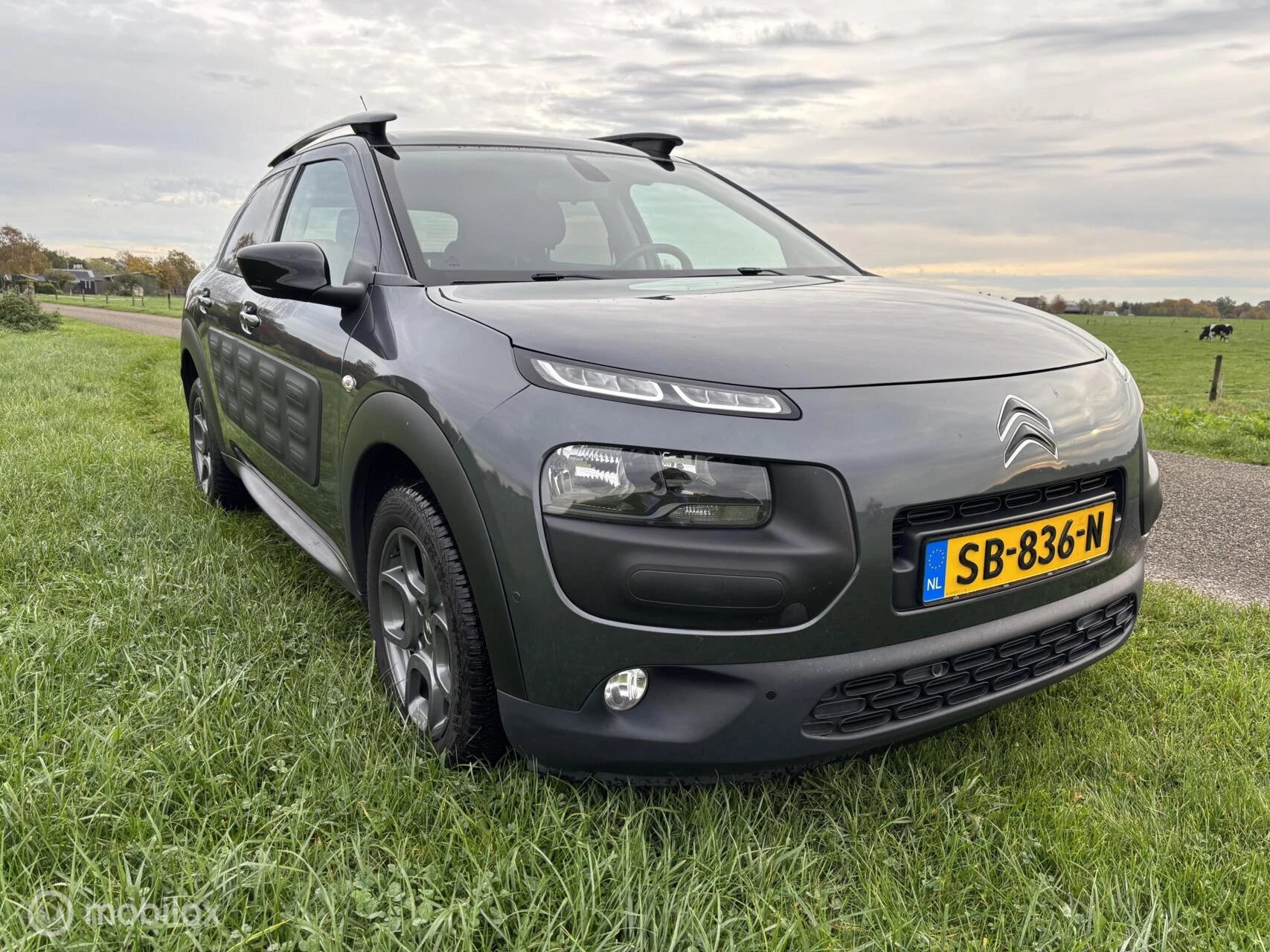Hoofdafbeelding Citroën C4 Cactus