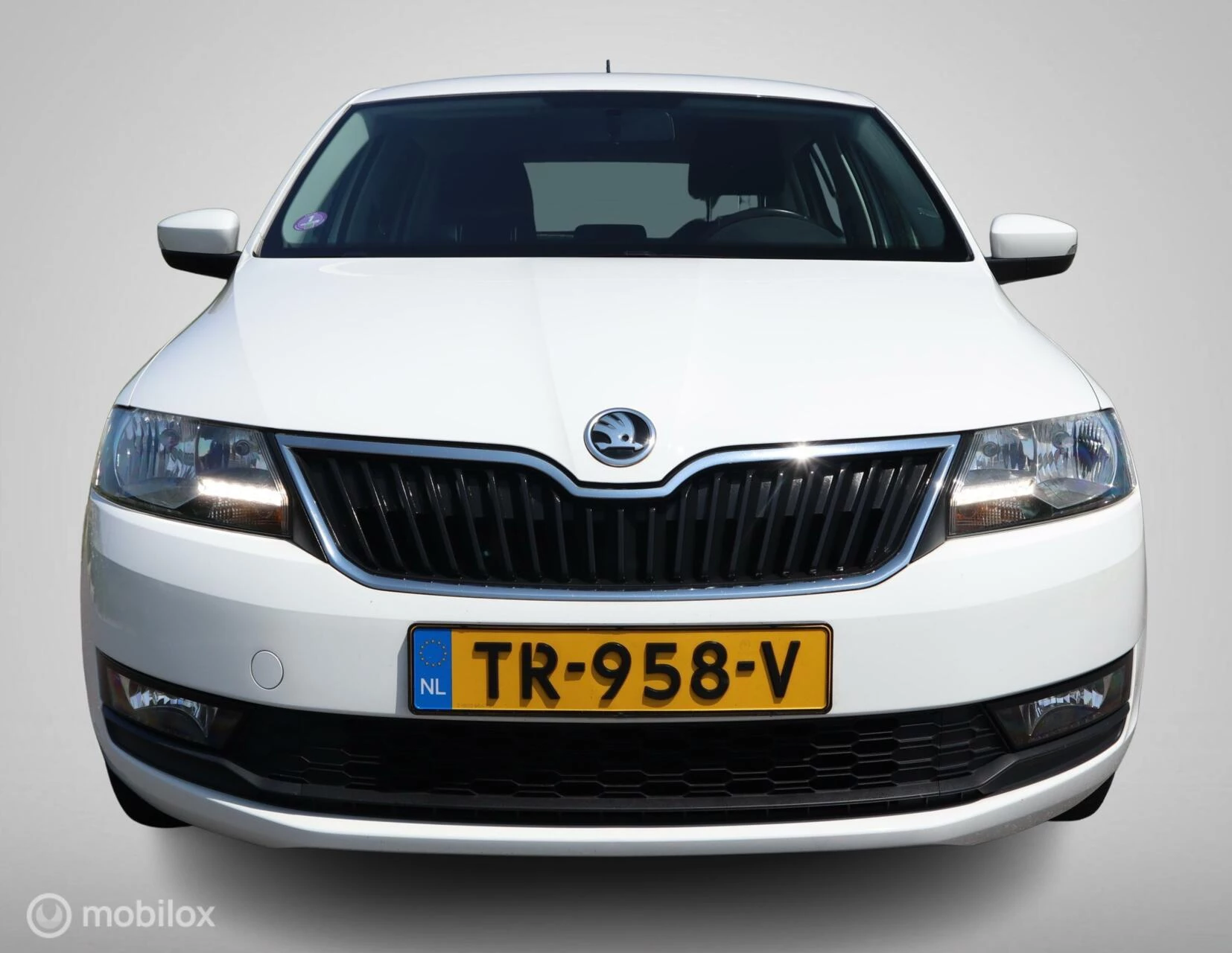 Hoofdafbeelding Škoda Rapid
