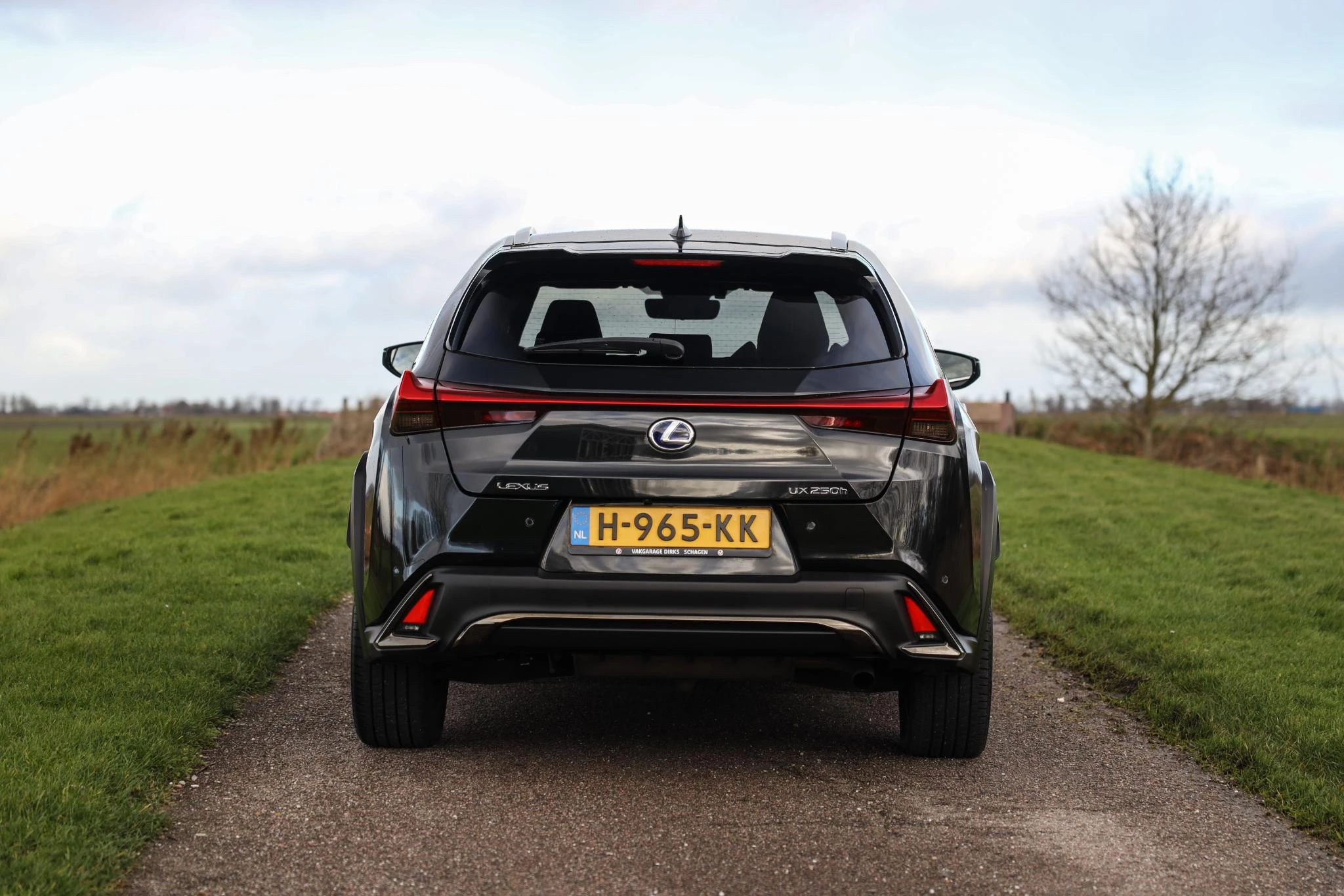 Hoofdafbeelding Lexus UX