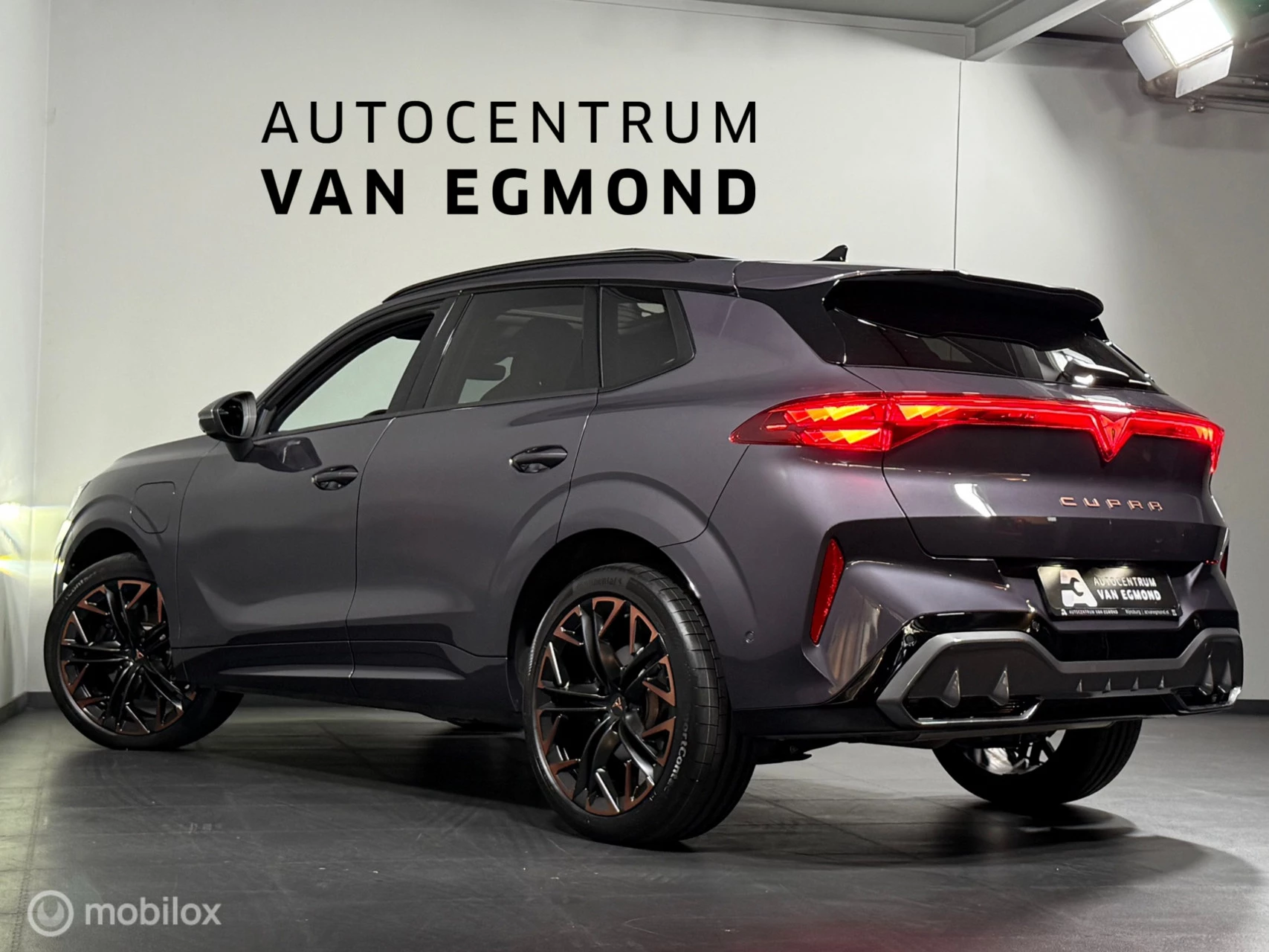Hoofdafbeelding CUPRA Terramar