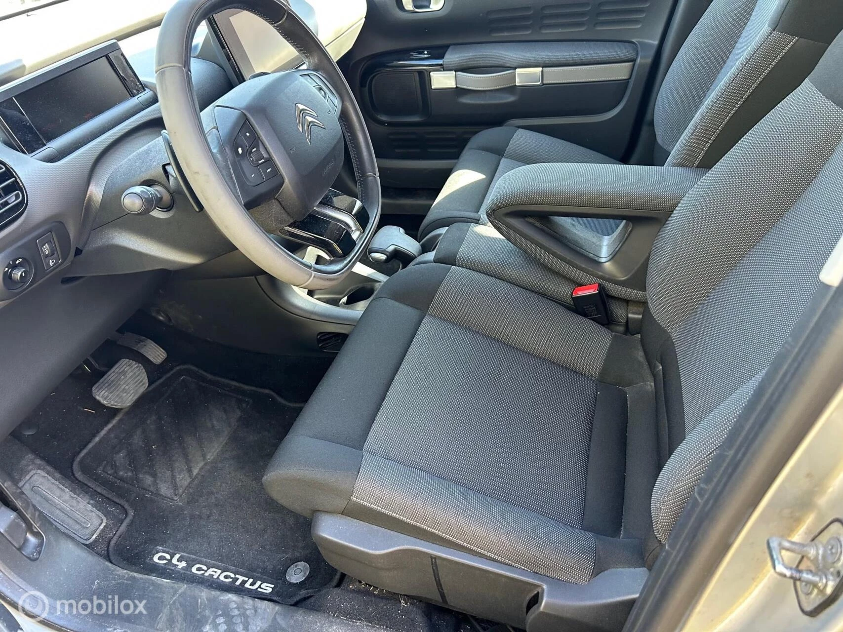 Hoofdafbeelding Citroën C4 Cactus