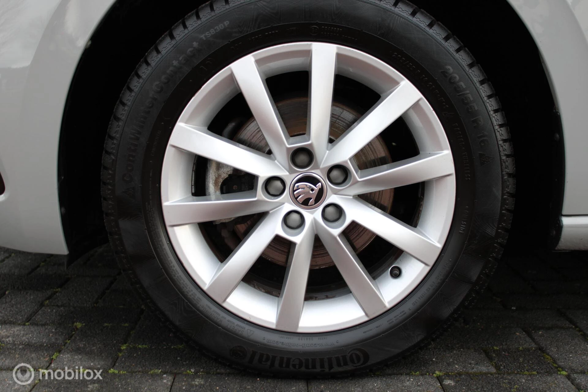 Hoofdafbeelding Škoda Scala