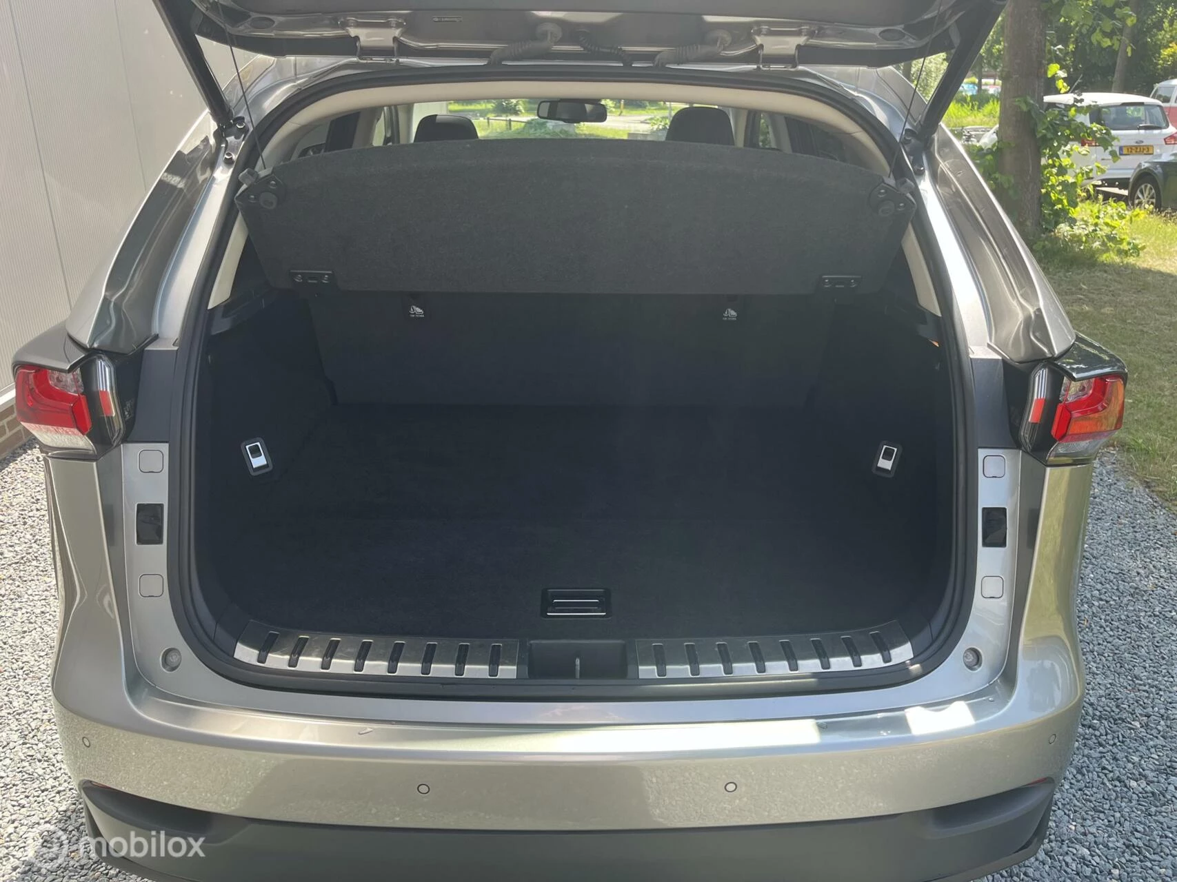 Hoofdafbeelding Lexus NX