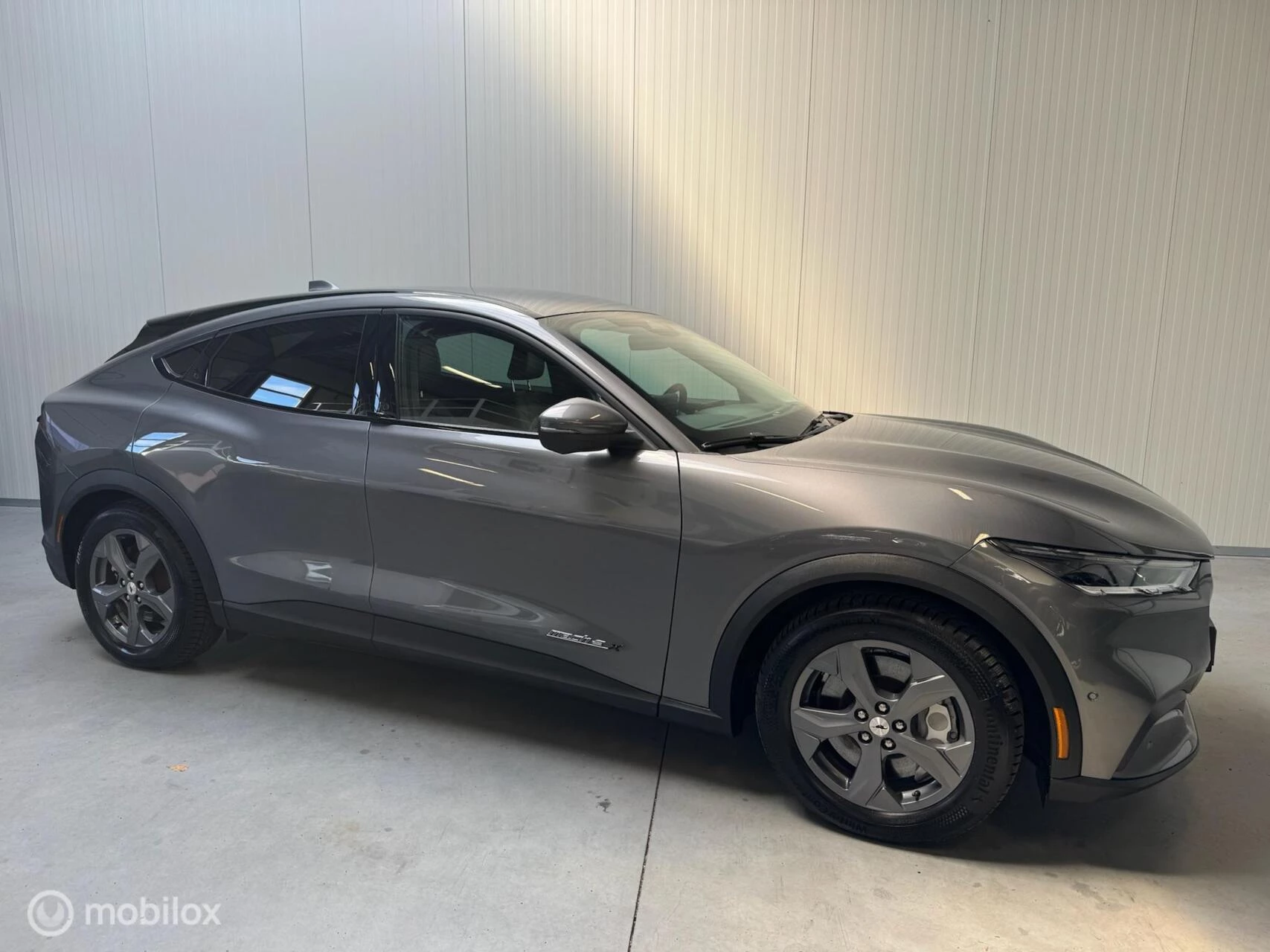 Hoofdafbeelding Ford Mustang Mach-E