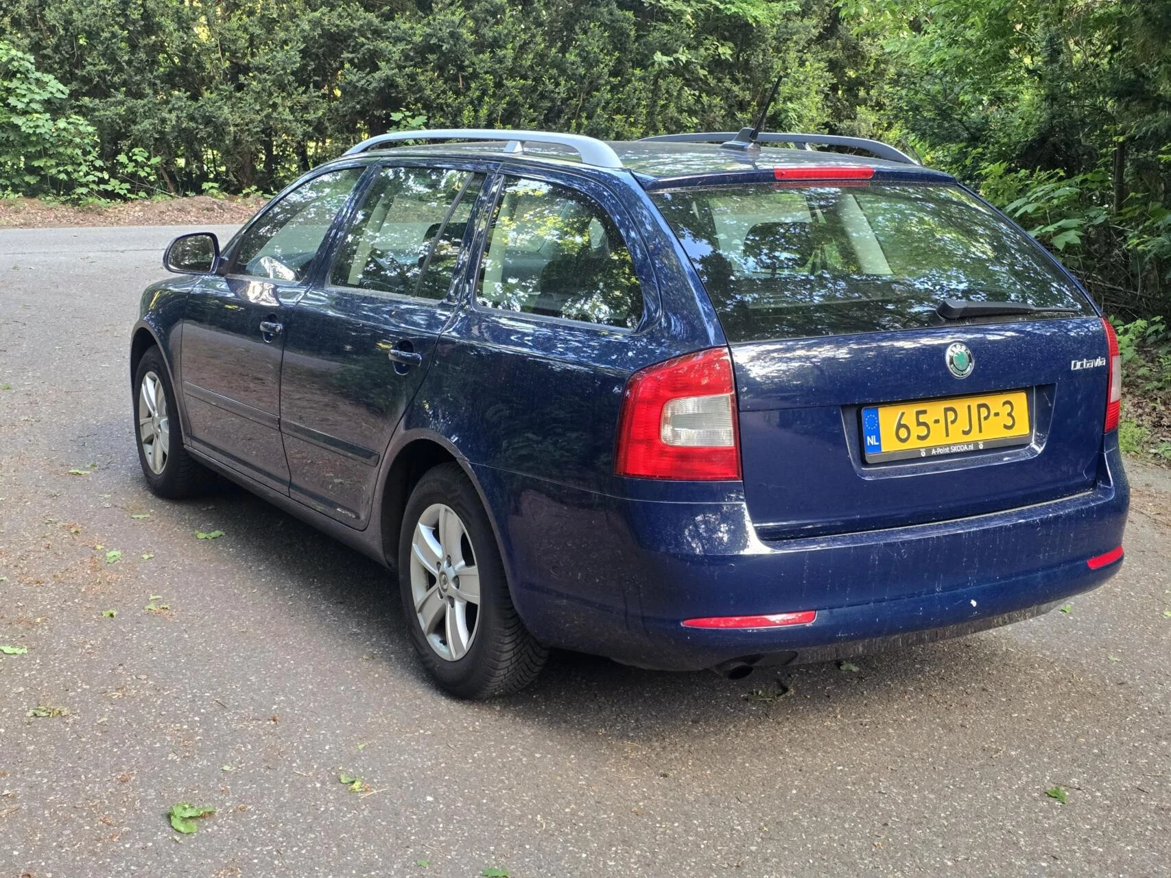 Hoofdafbeelding Škoda Octavia