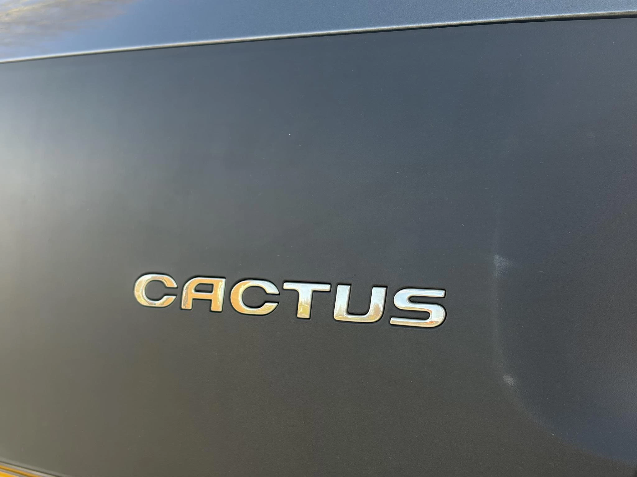 Hoofdafbeelding Citroën C4 Cactus