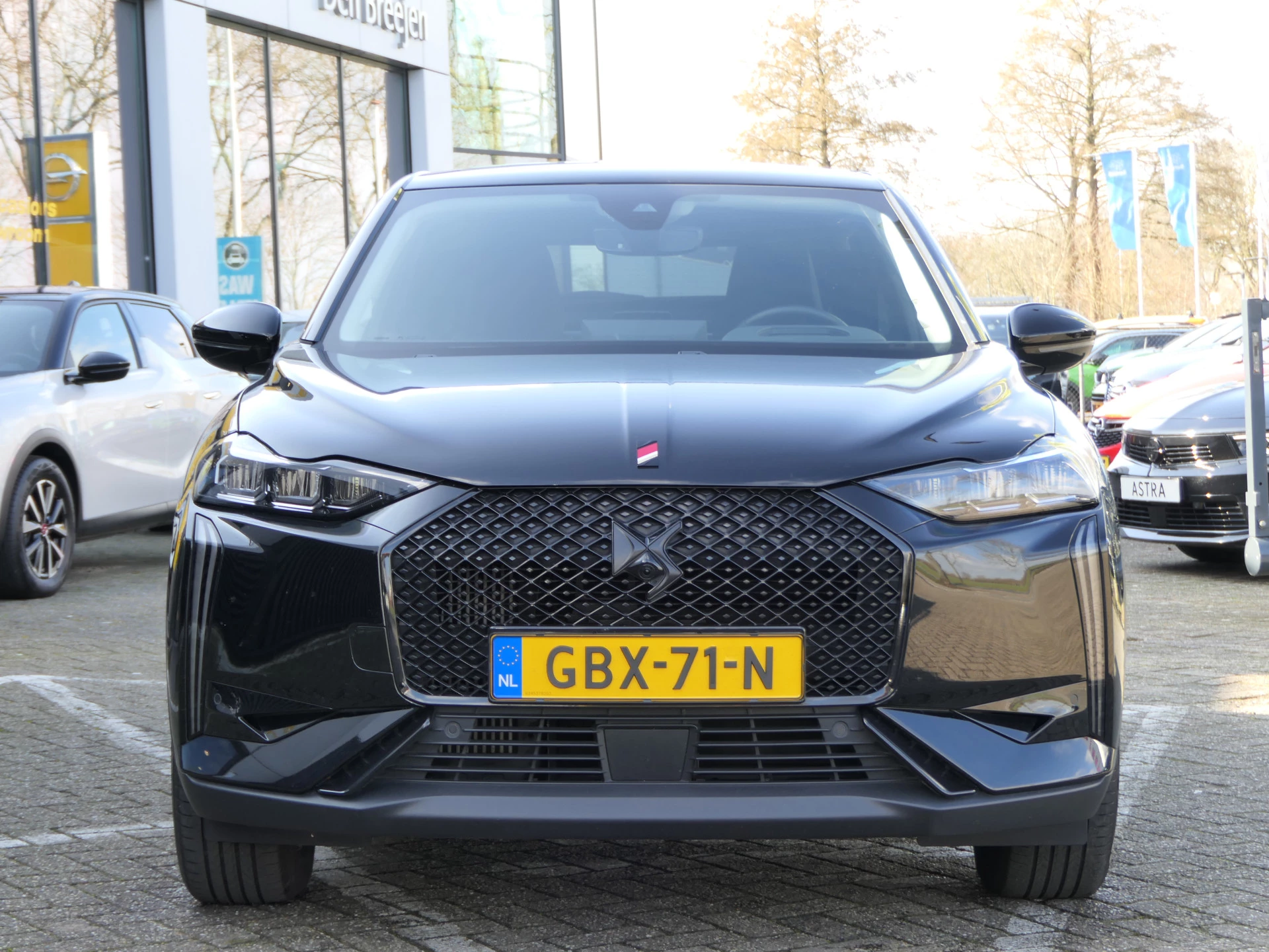 Hoofdafbeelding DS DS 3