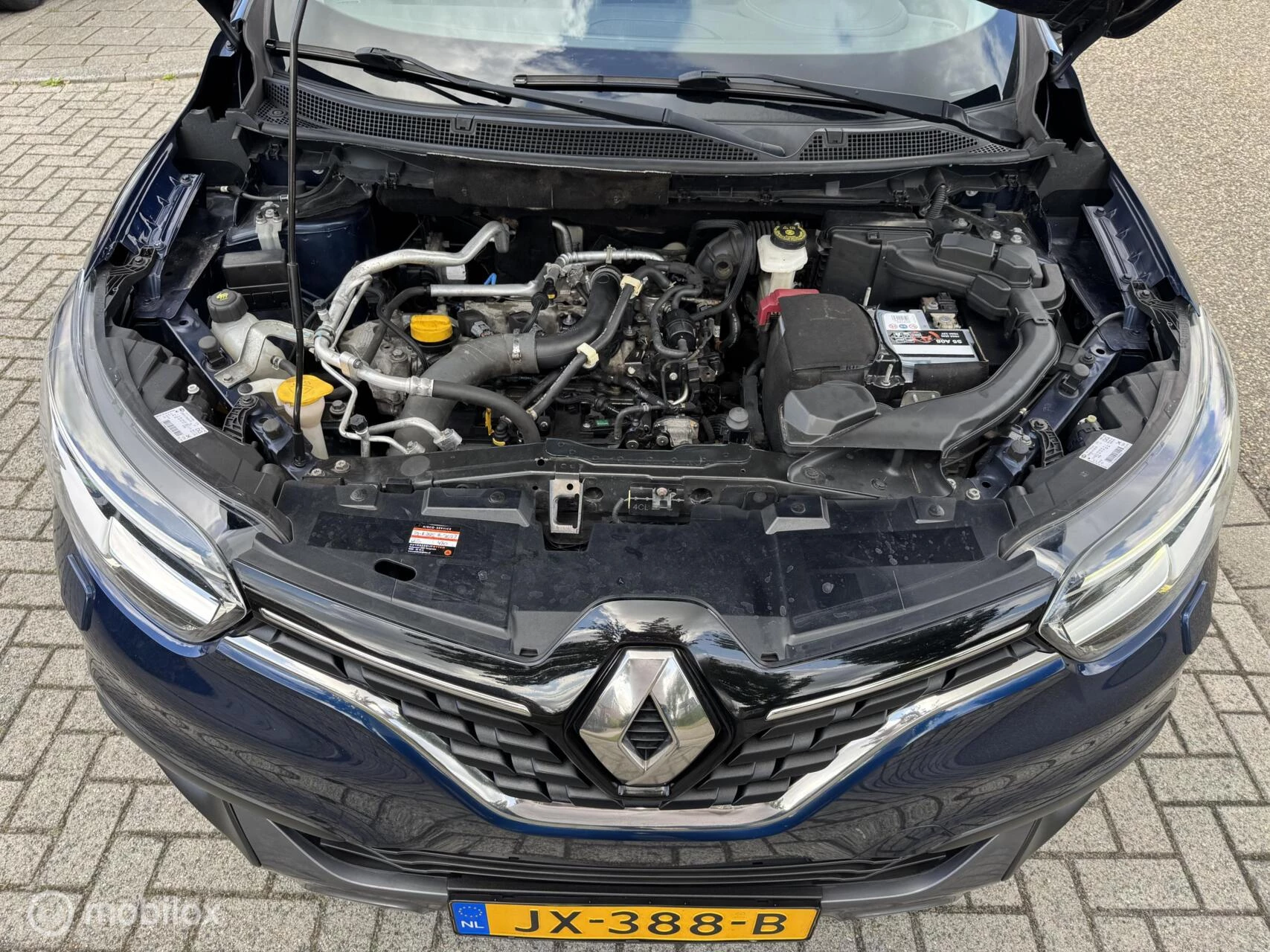 Hoofdafbeelding Renault Kadjar