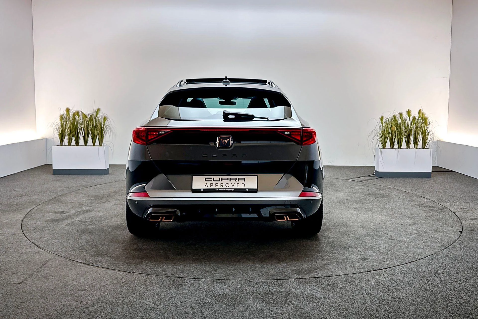 Hoofdafbeelding CUPRA Formentor