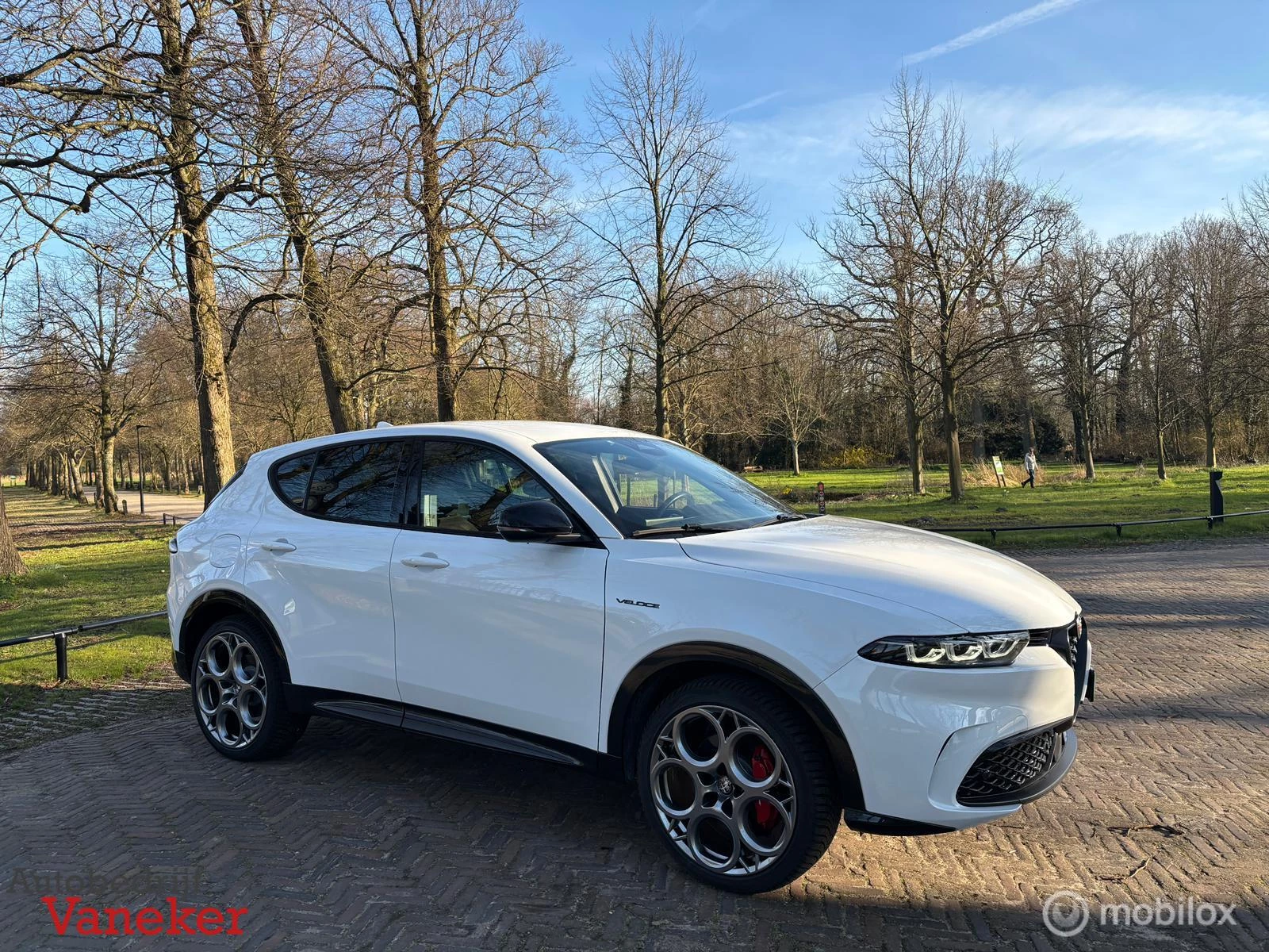 Hoofdafbeelding Alfa Romeo Tonale