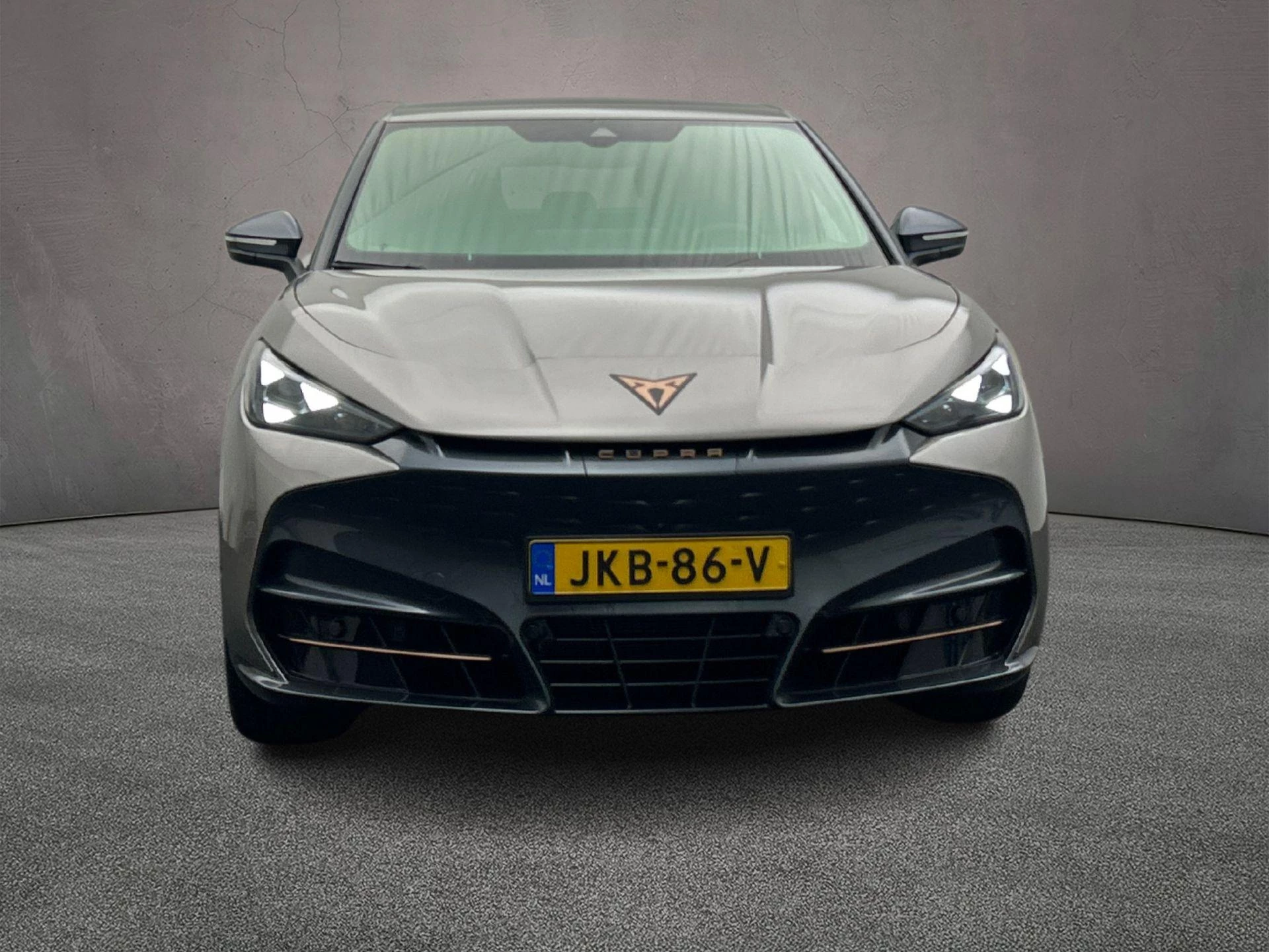 Hoofdafbeelding CUPRA Tavascan