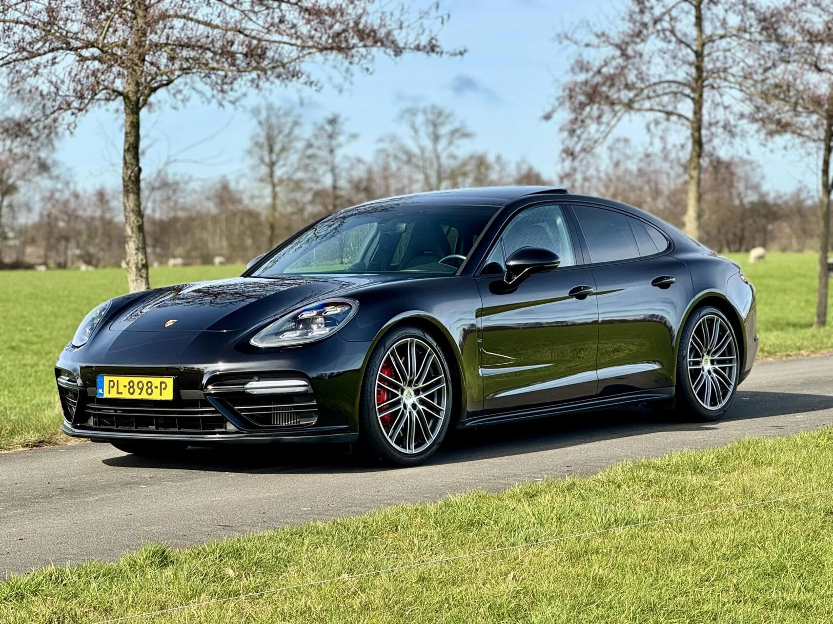 Hoofdafbeelding Porsche Panamera