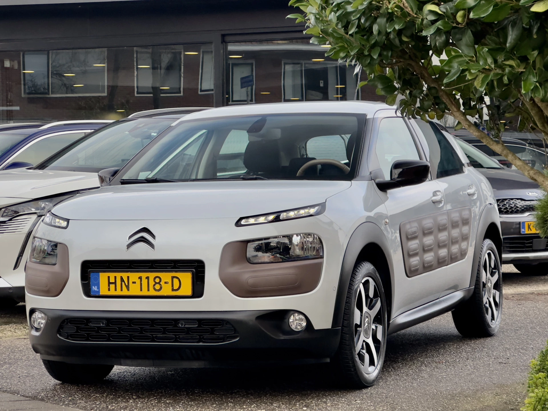 Hoofdafbeelding Citroën C4 Cactus