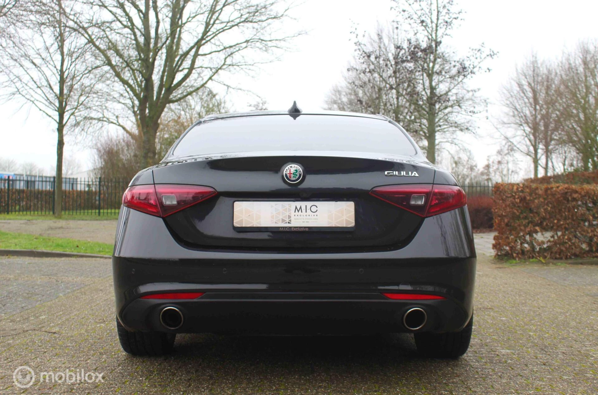 Hoofdafbeelding Alfa Romeo Giulia