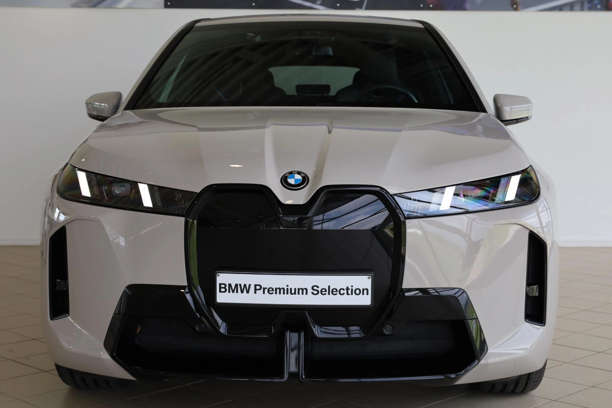 Hoofdafbeelding BMW iX