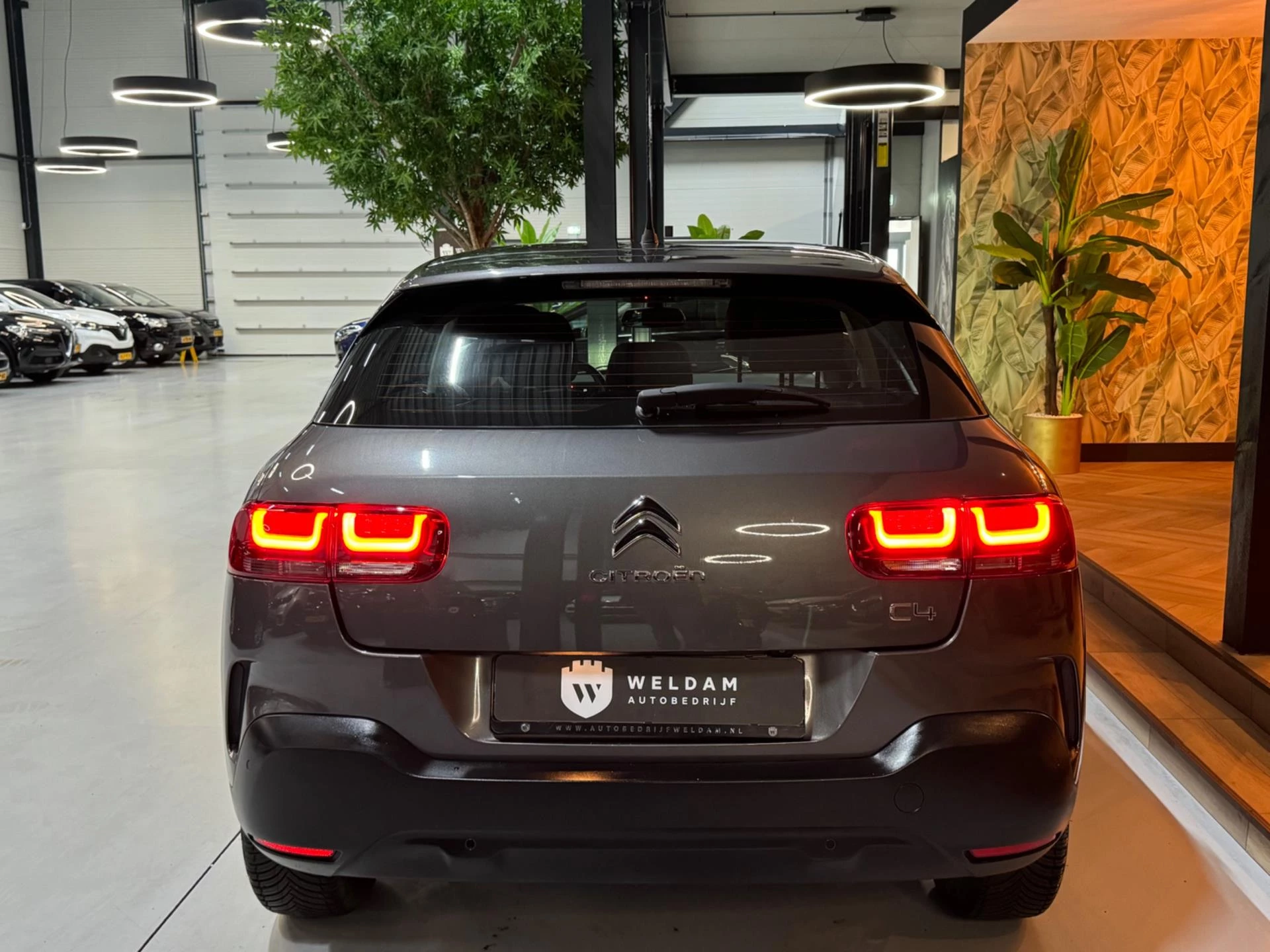Hoofdafbeelding Citroën C4 Cactus