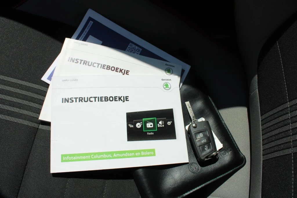 Hoofdafbeelding Škoda Fabia