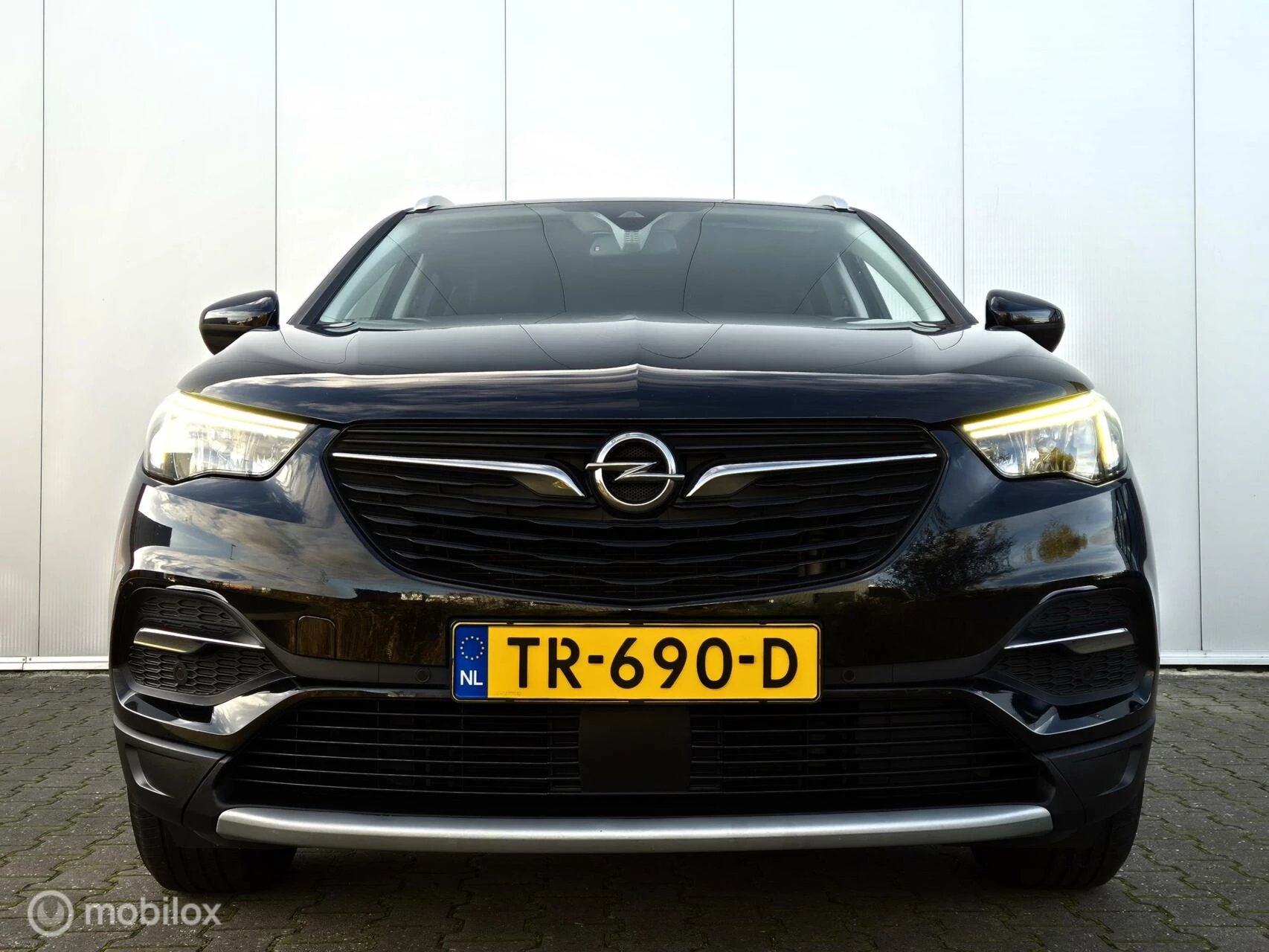 Hoofdafbeelding Opel Grandland X