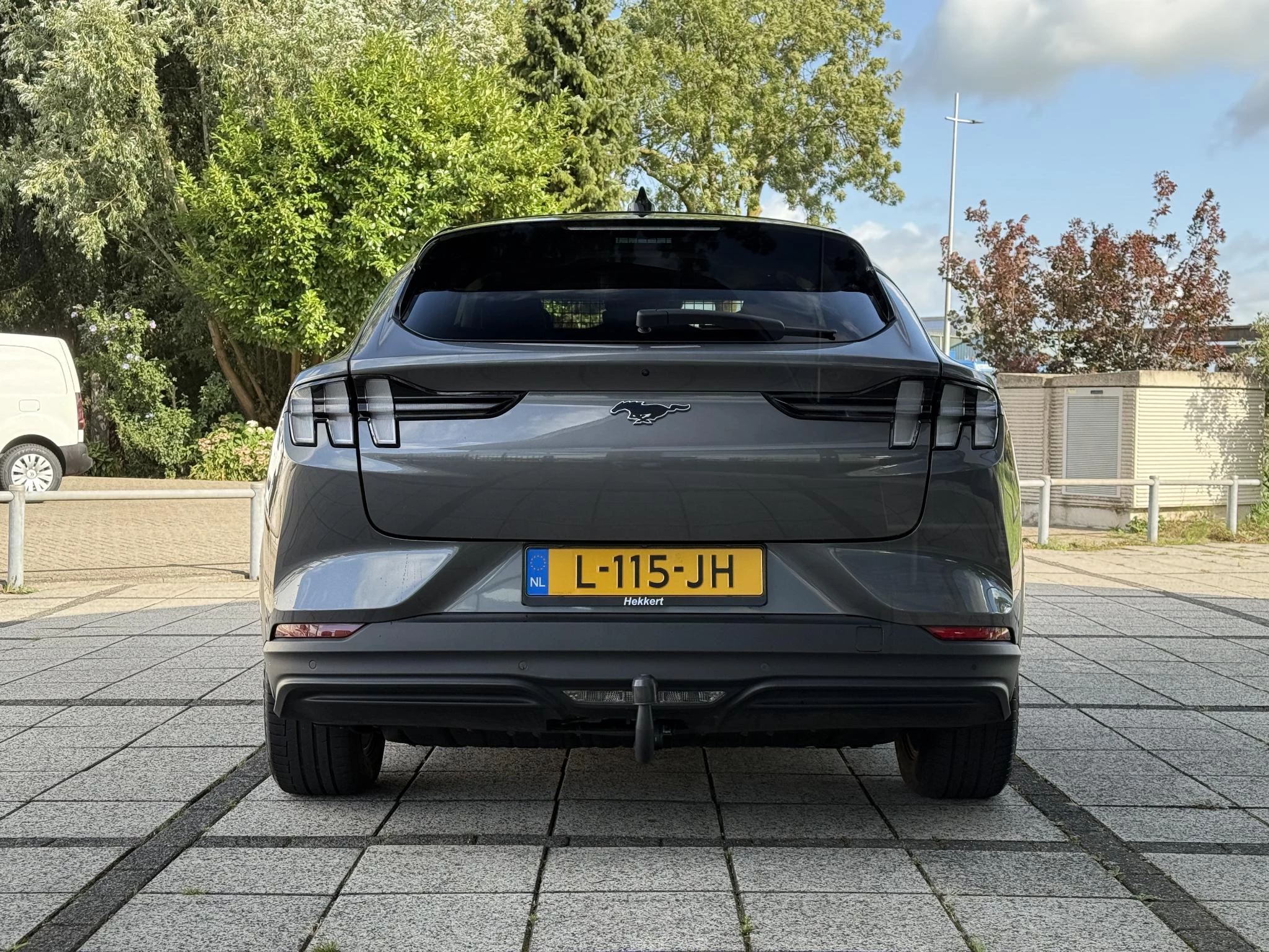 Hoofdafbeelding Ford Mustang Mach-E