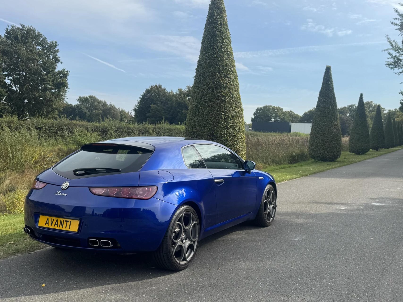 Hoofdafbeelding Alfa Romeo Brera