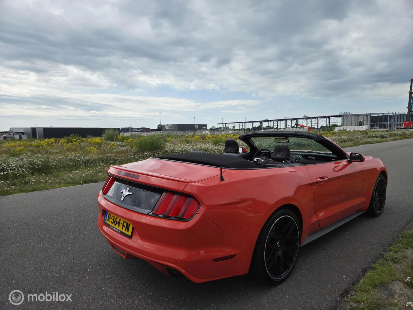 Hoofdafbeelding Ford Mustang